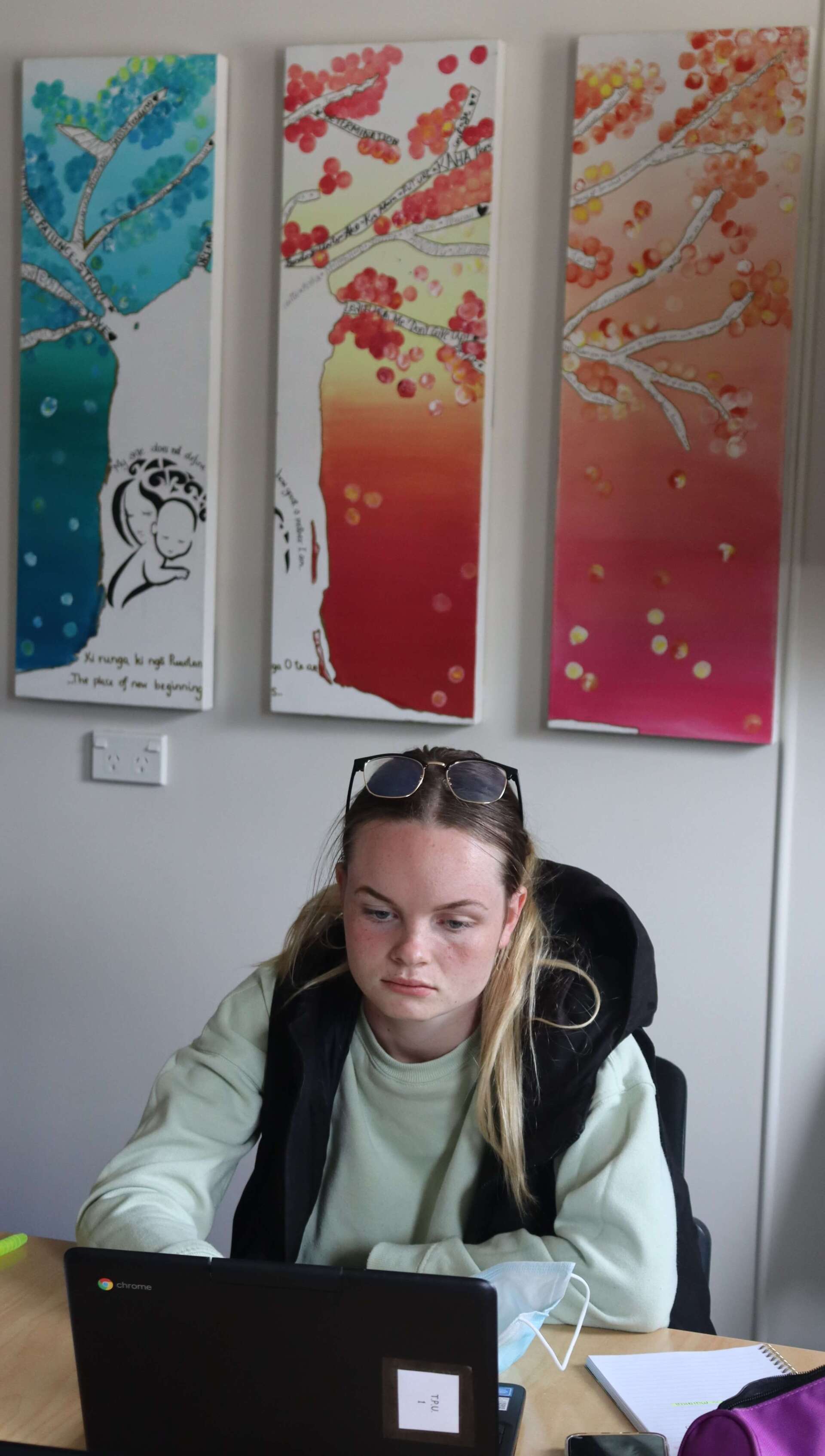 A woman is sitting at a desk using a laptop computer.
