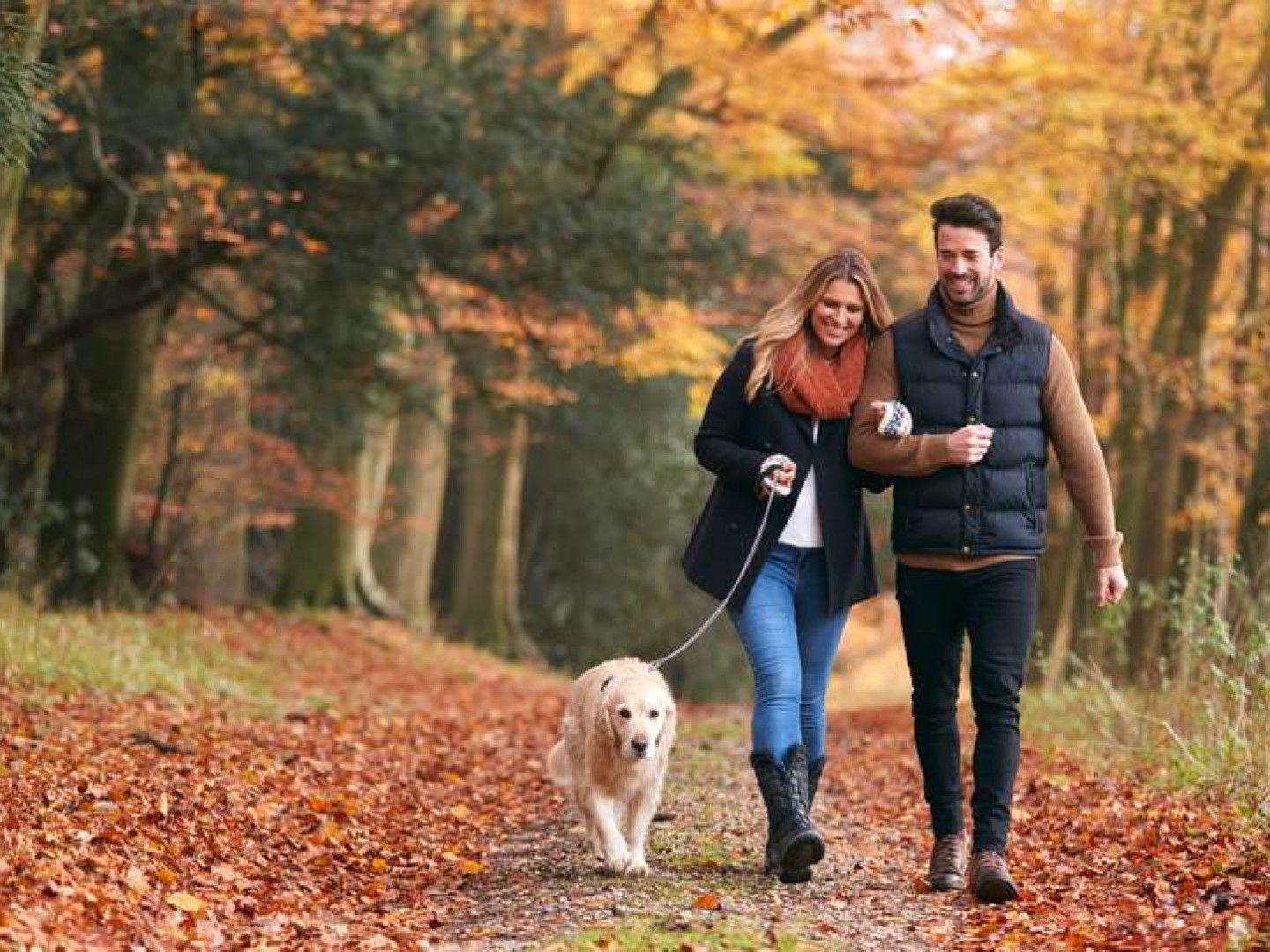 Couple walking a golden retriever on a path in autumn woods, arm in arm and smiling.
