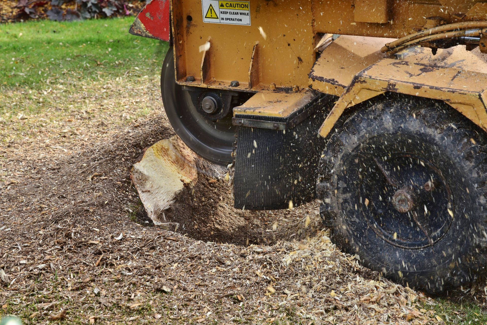 Yellow Stump Grinder Grinding a Tree Stump Into Wood Chips — Moline, IL — Ricks Tree Service