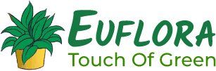 Euflora Touch of Green Euflora Touch of Green