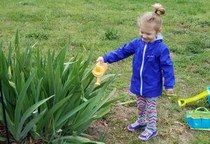 Young child in blue jacket waters plants with a yellow watering can.