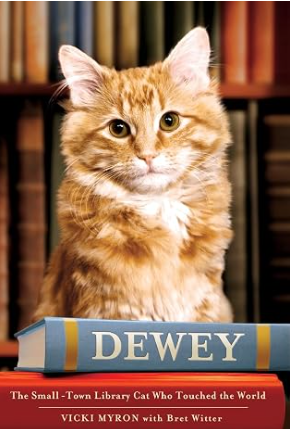 Book Title: "Dewey : A Small-town Library Cat Who Touched The World" By Vicki Myron. The background is a cat behind a stack of books.