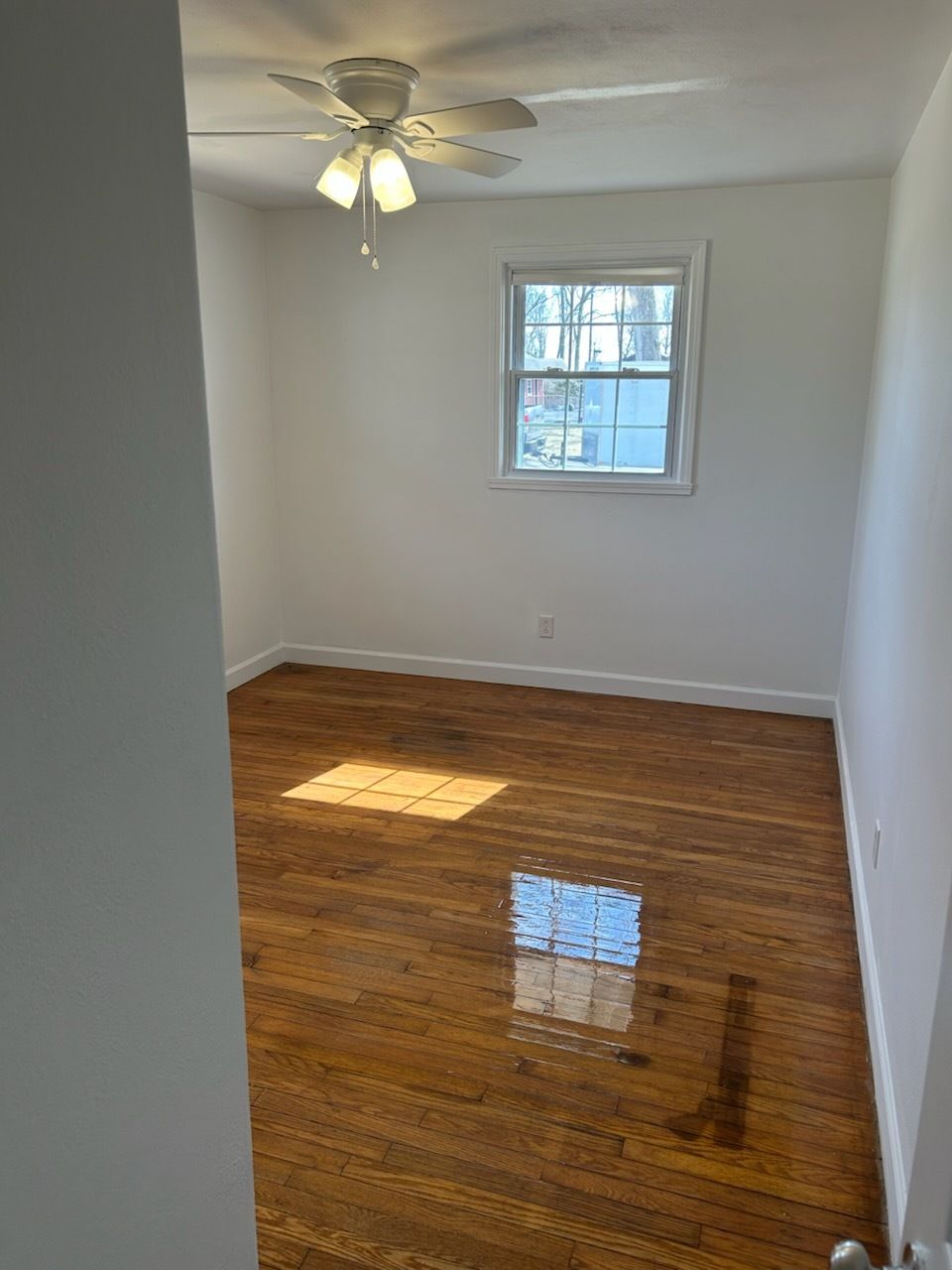 An empty room with white walls, a single window, a ceiling fan with lights, and polished brown hardwood floors.