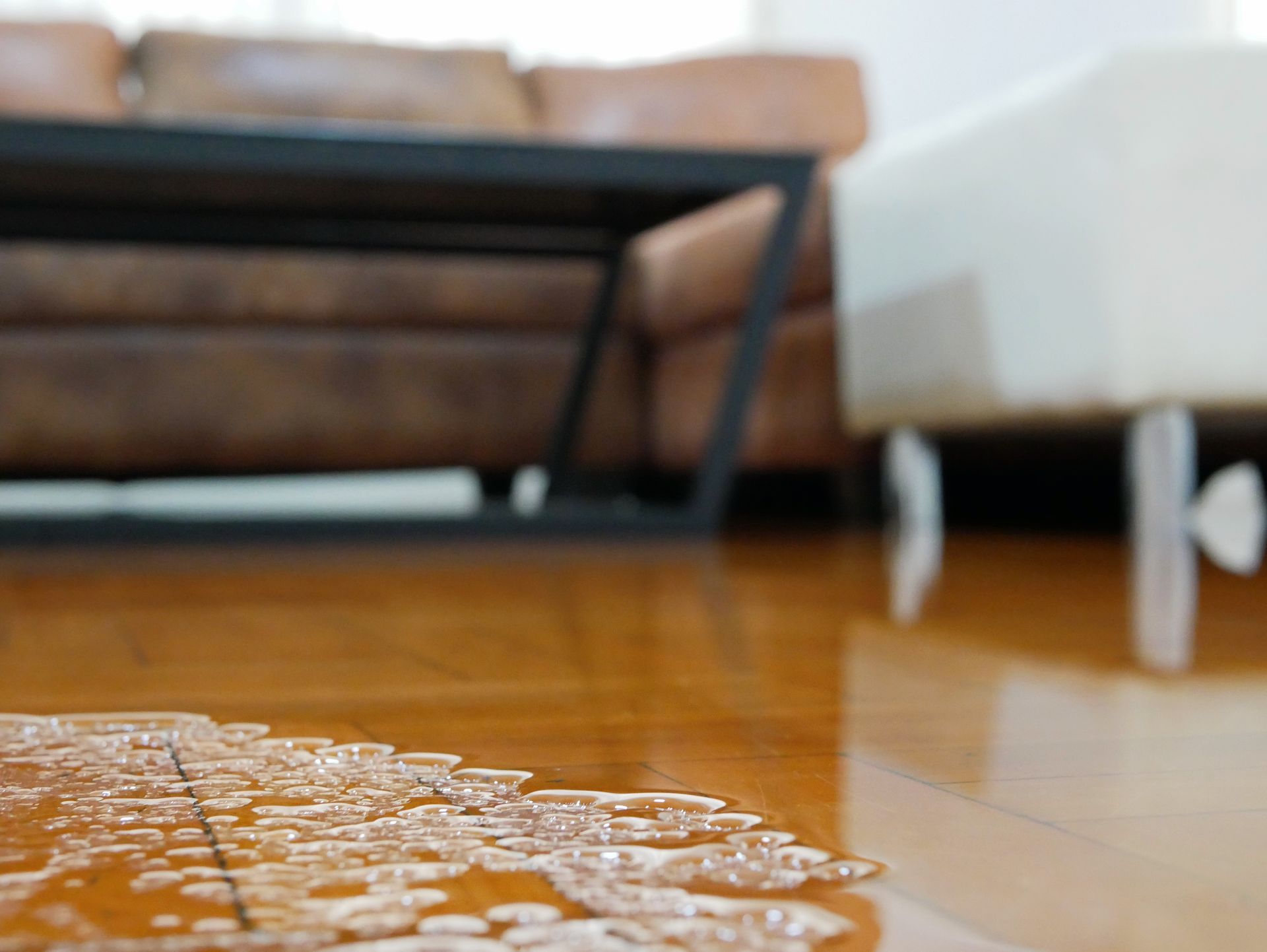 A living room with a brown couch and a white chair