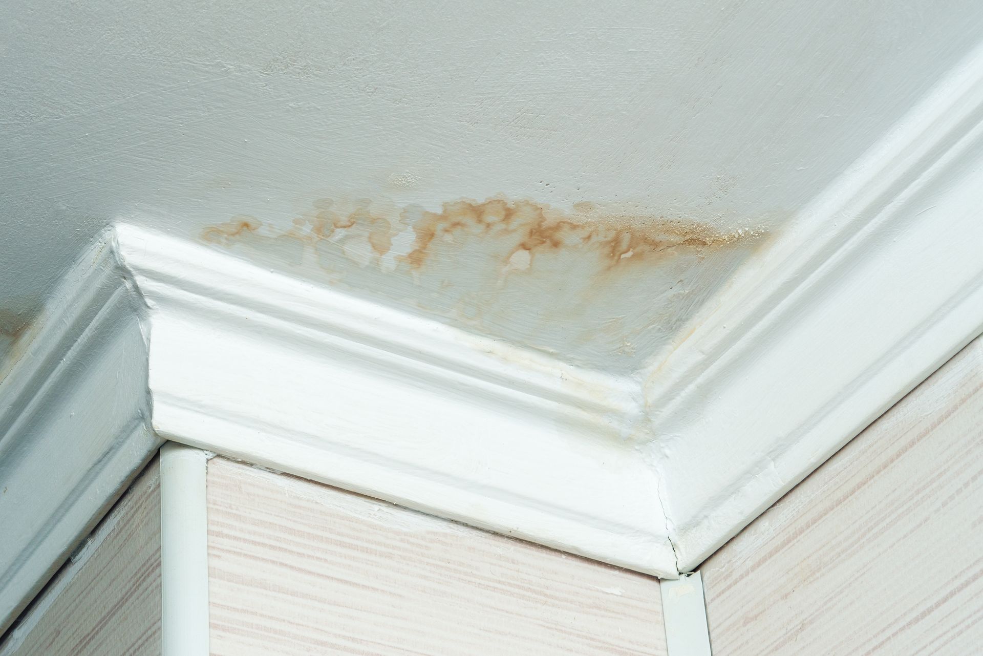 A close up of a corner of a ceiling with stains on it.