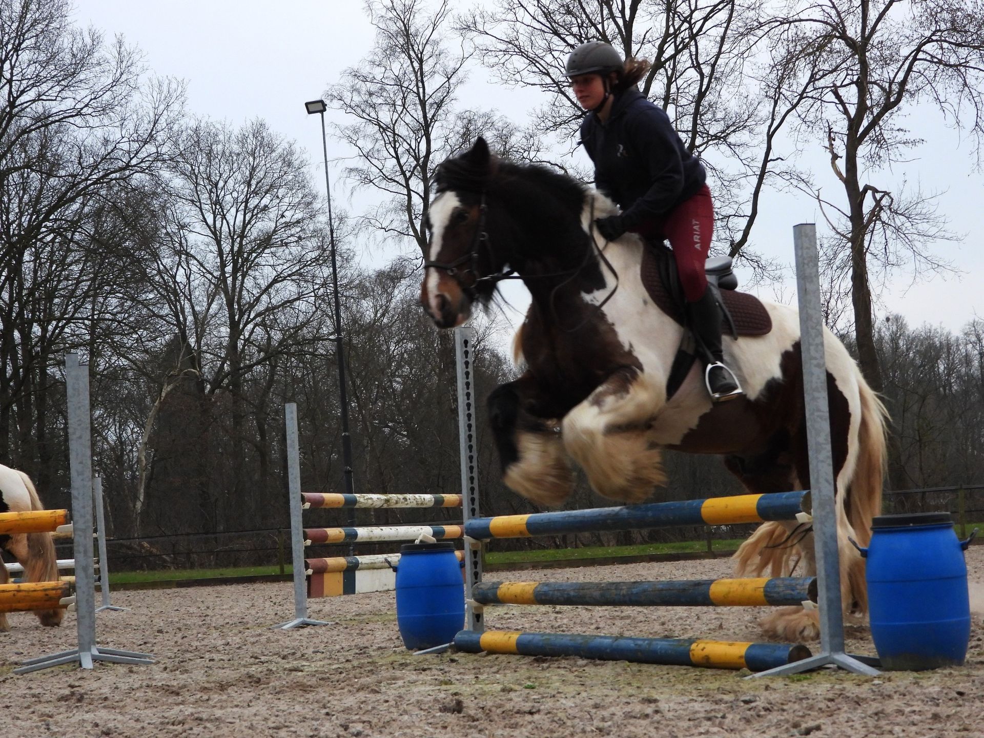 Springen met Tinker 