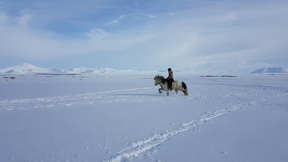Anne in IJsland