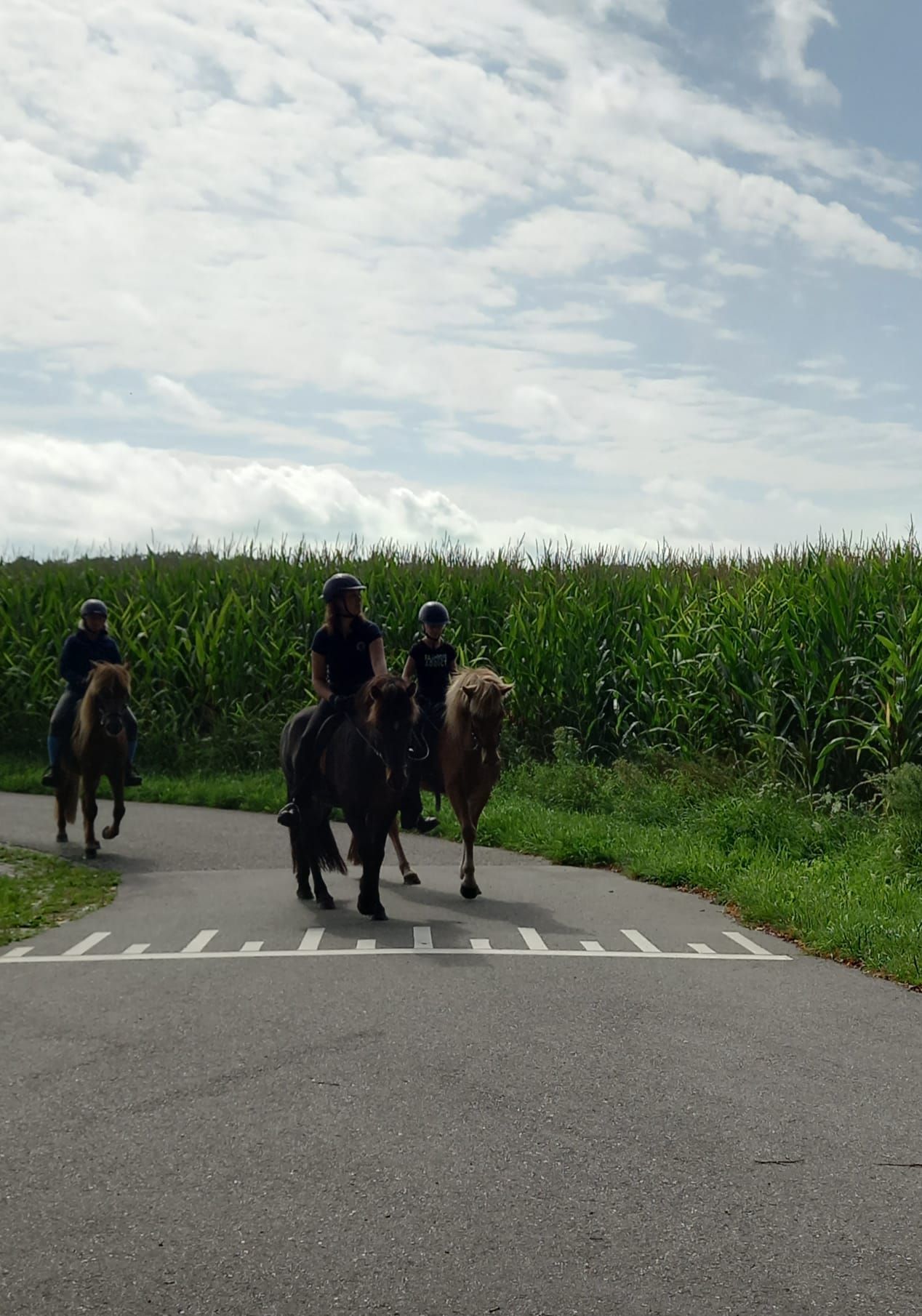 Buitenrit in Eibergen