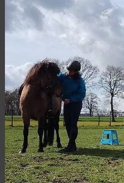 Anne en Baldinn