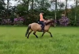 Ellen met Baldinn