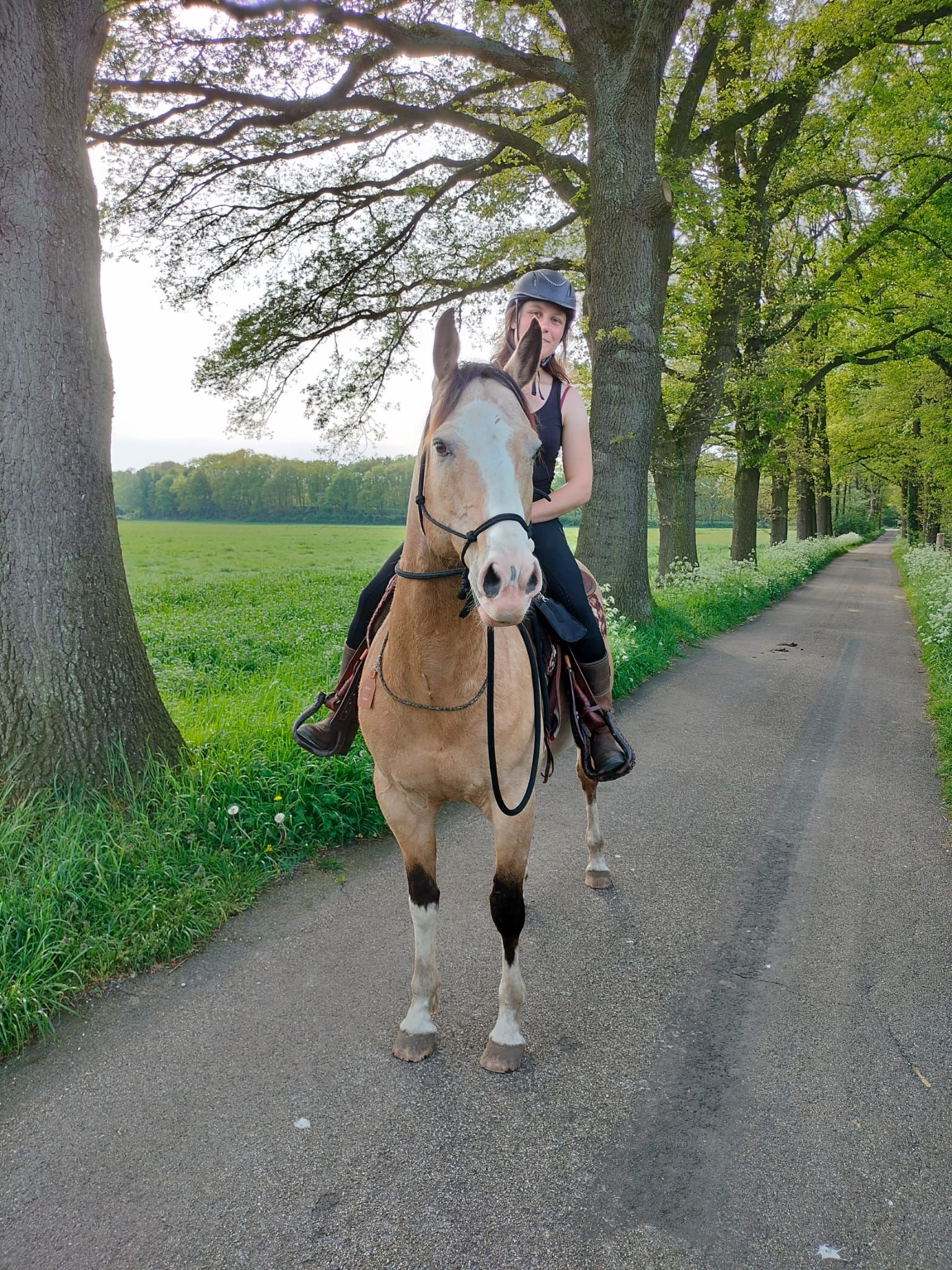 Buitenrit in Beek