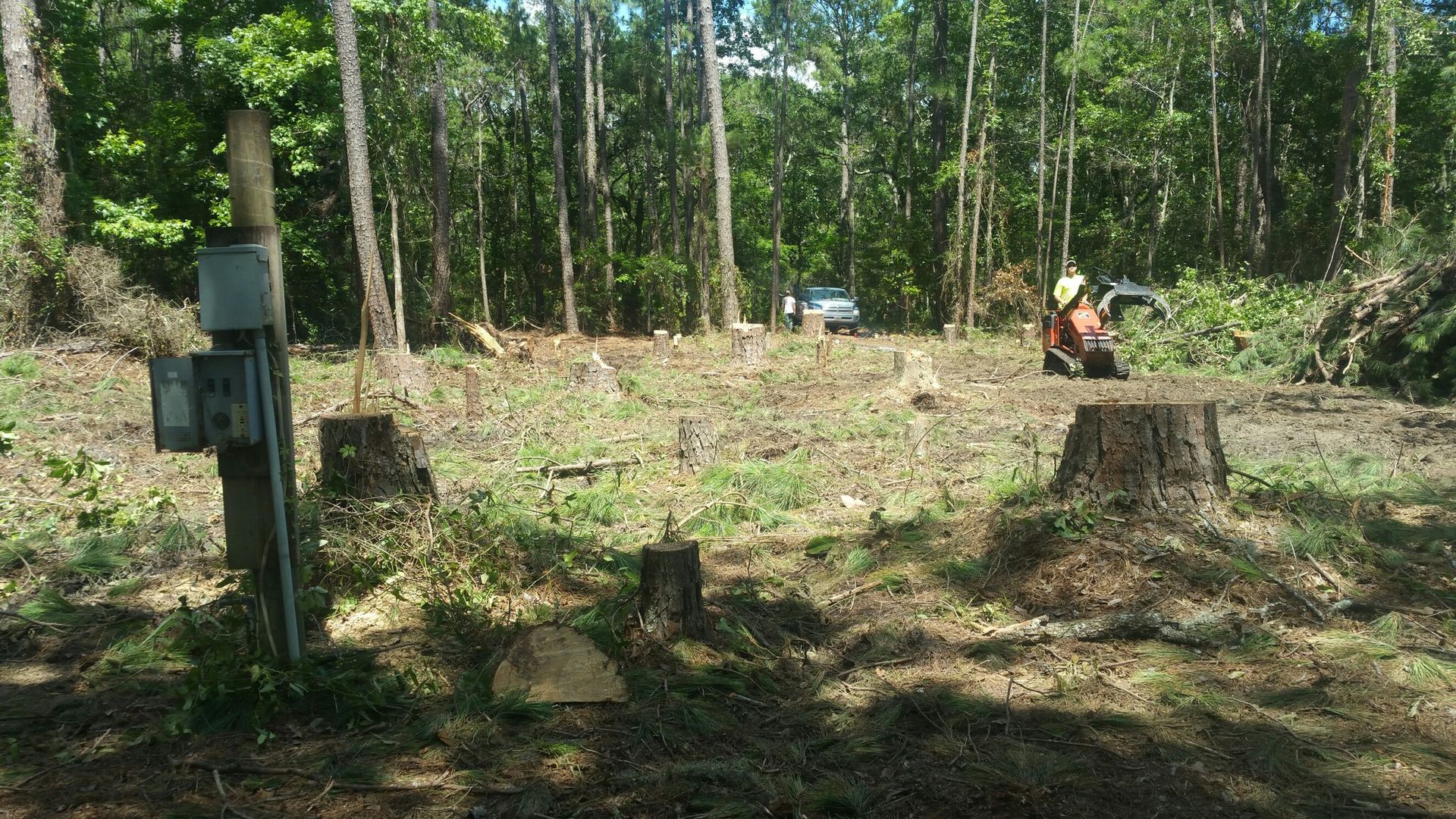 Tree Services | Crestview, Florida | Anderson Tree & Lawn