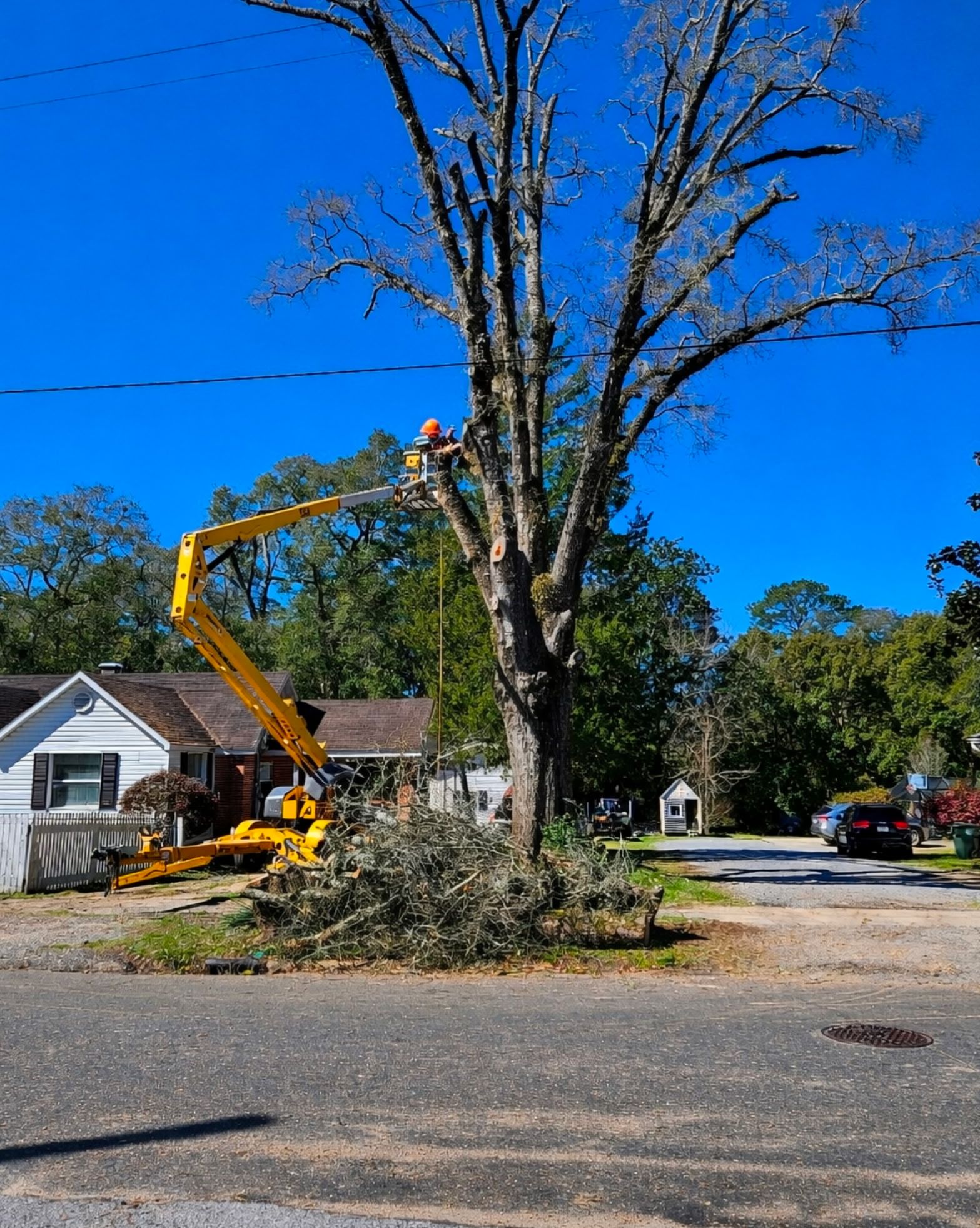 Tree Services | Crestview, Florida | Anderson Tree & Lawn