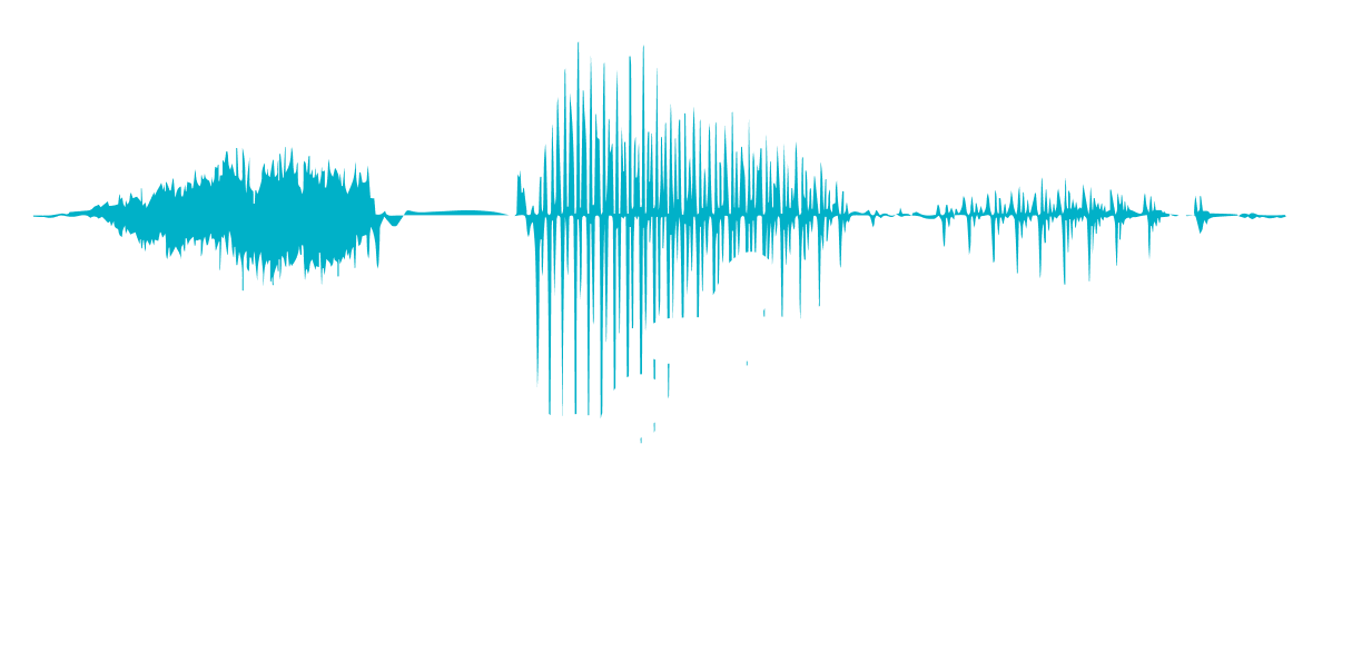 Wave form
