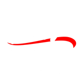 Patty's Mobile Detailing