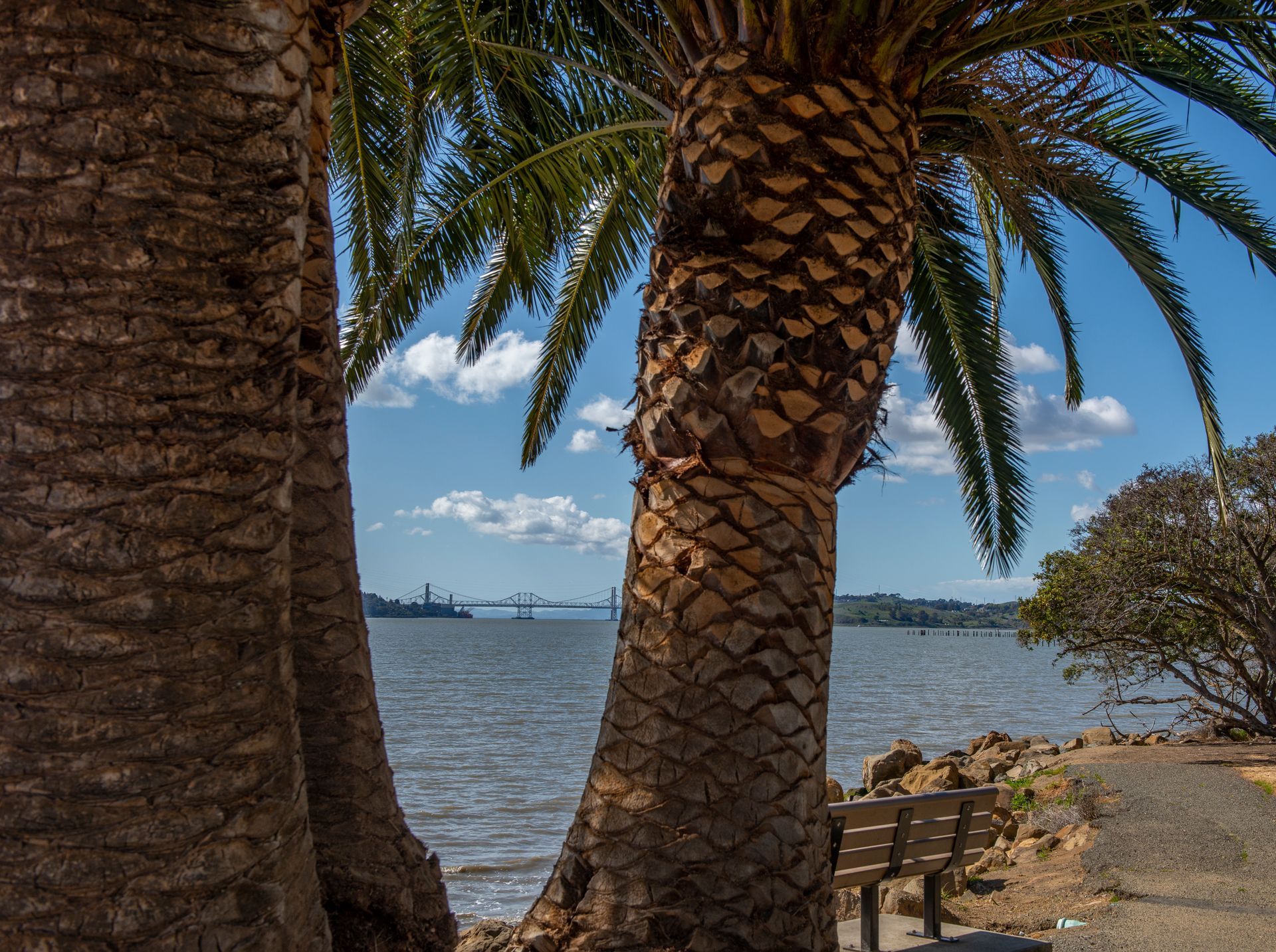 View Towards the Carquinez Bridge