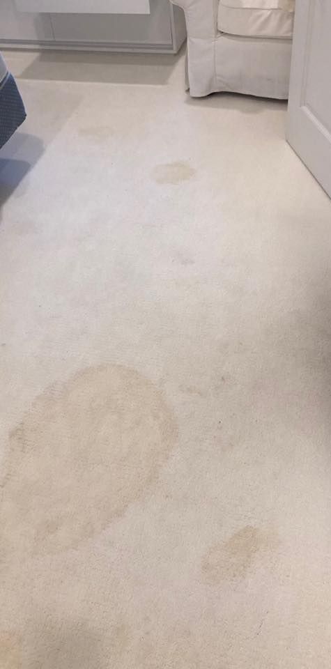 A white carpeted floor in a living room with stains on it.