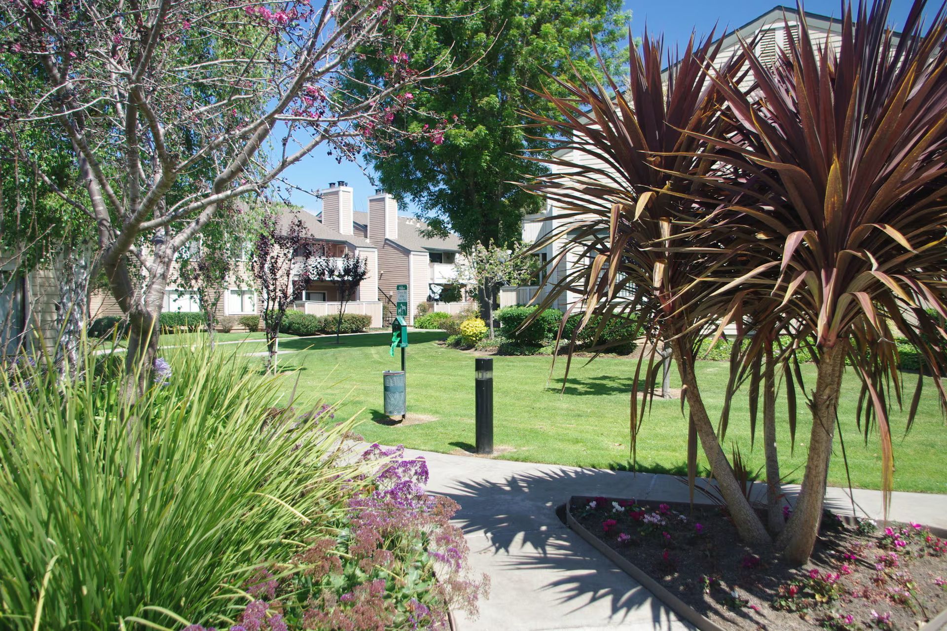 Sunny garden path with palm trees, green lawn, and a house in the background