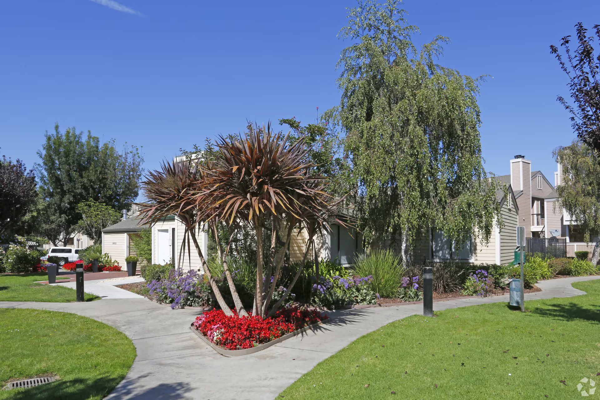 Landscaped garden with flowering plants, trees, and white buildings under a clear blue sky