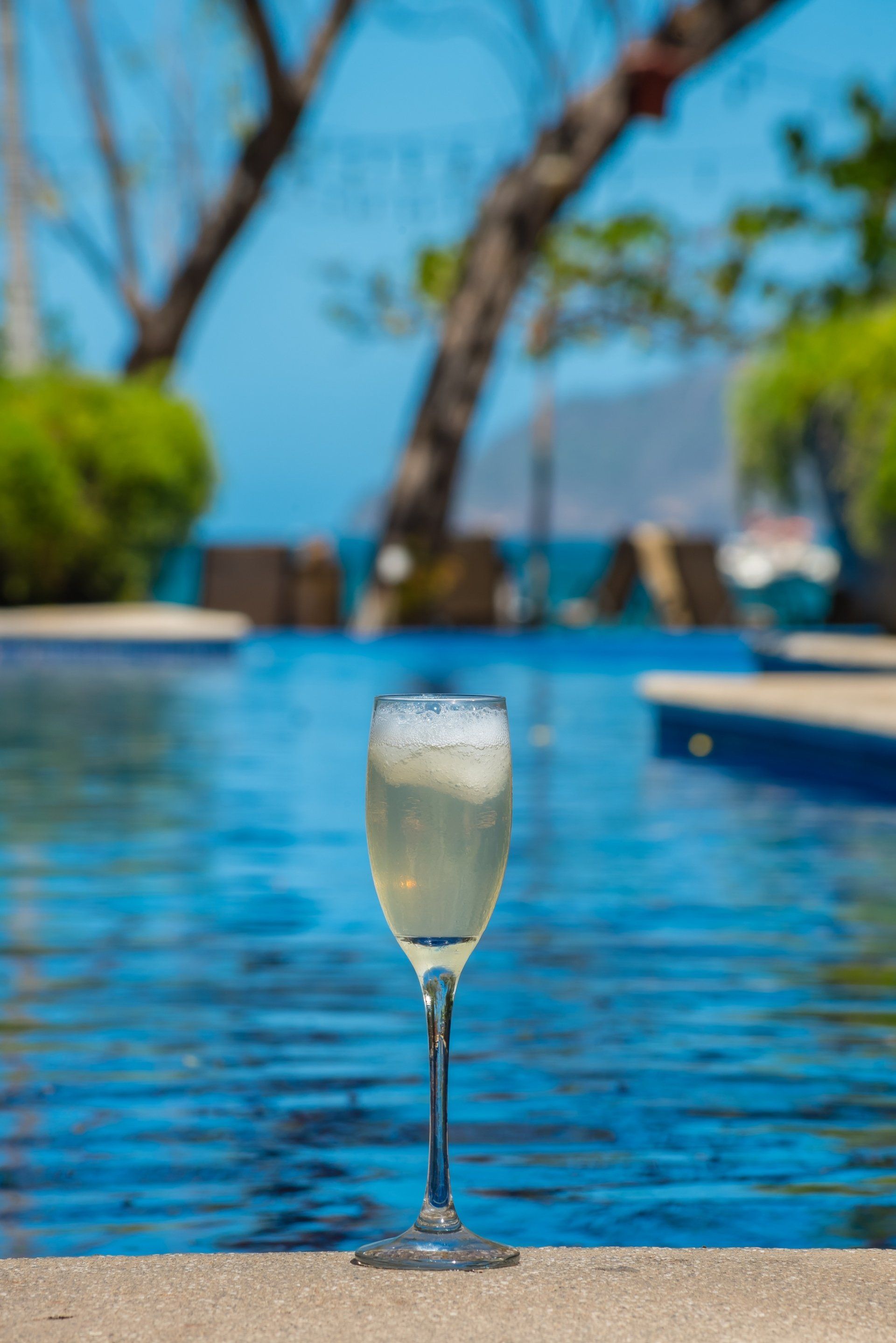 Champagne flute by a blue pool with tropical trees and a bright sky in the background
