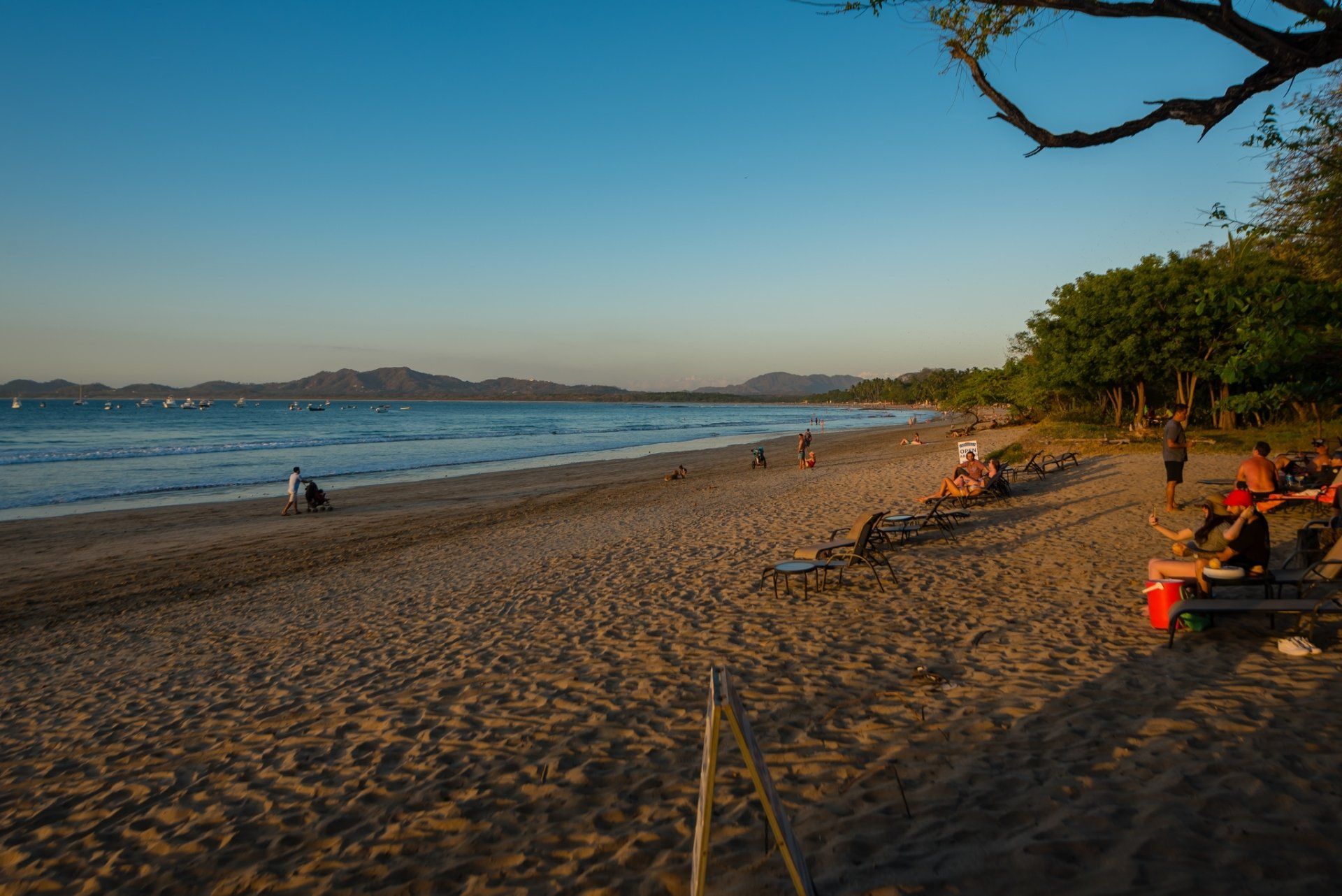 Sandy beach at sunset with scattered people, calm waves, and trees lining the shore