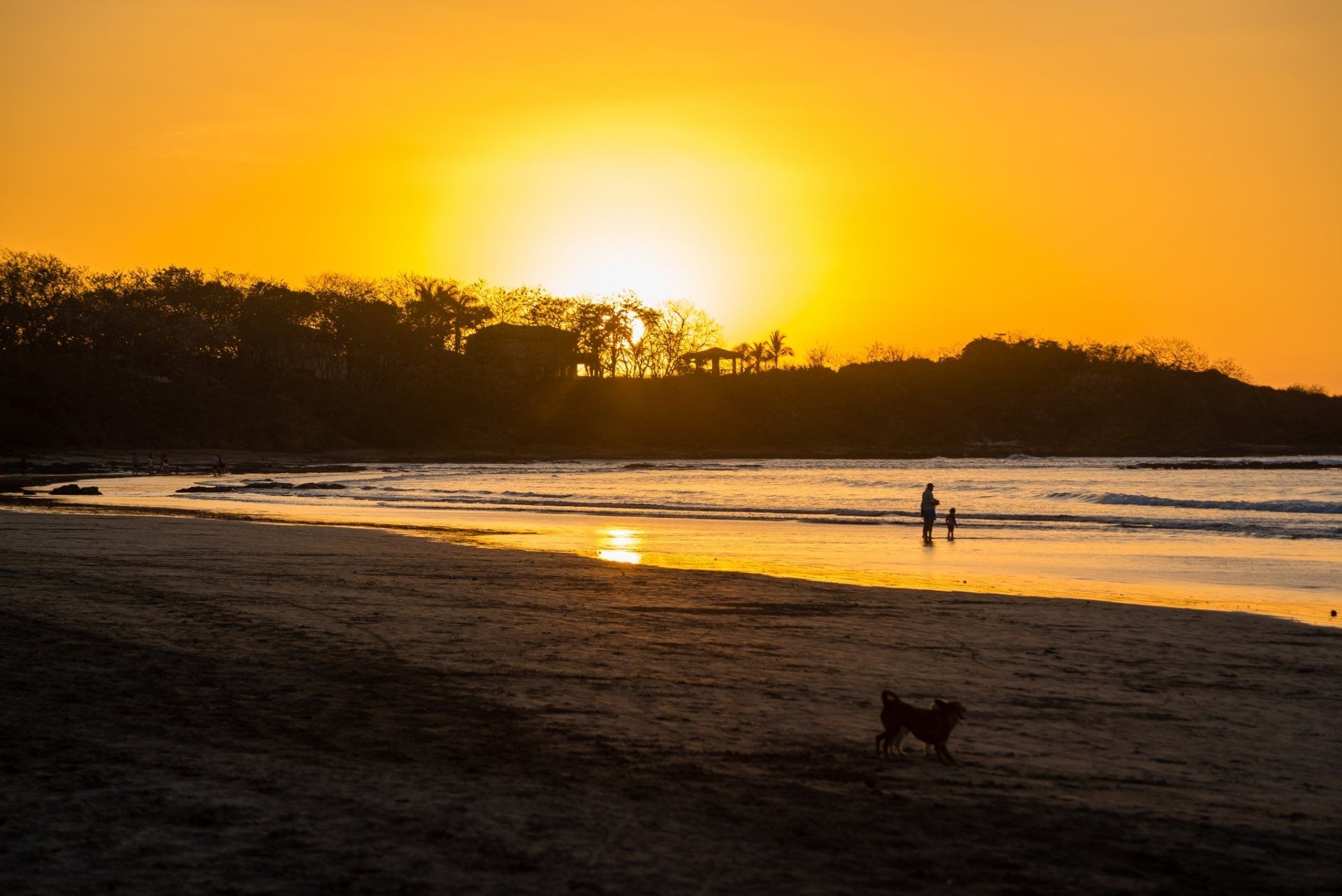 Sunset over a beach with two people wading in the surf and a dog on the sand