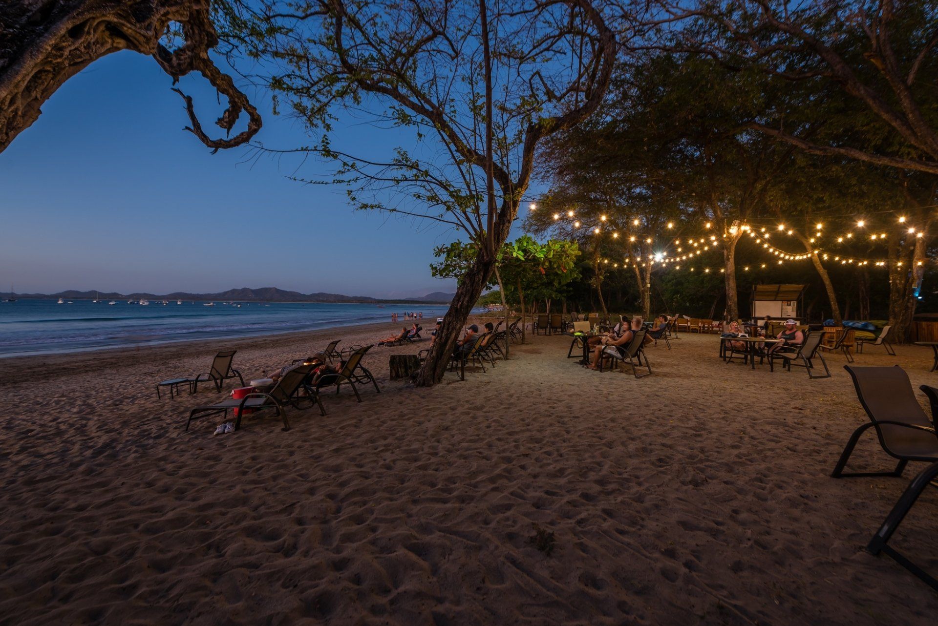 Twilight beach scene with lounge chairs, string lights, and trees along the shoreline