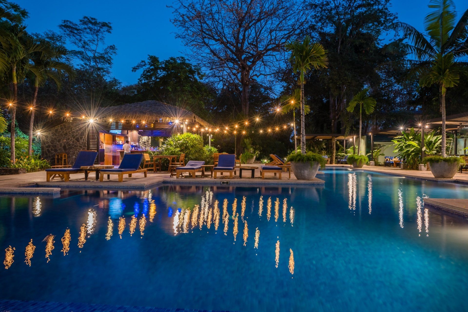 Nighttime resort pool with blue water, string lights, lounge chairs, and palm trees reflecting on the surface
