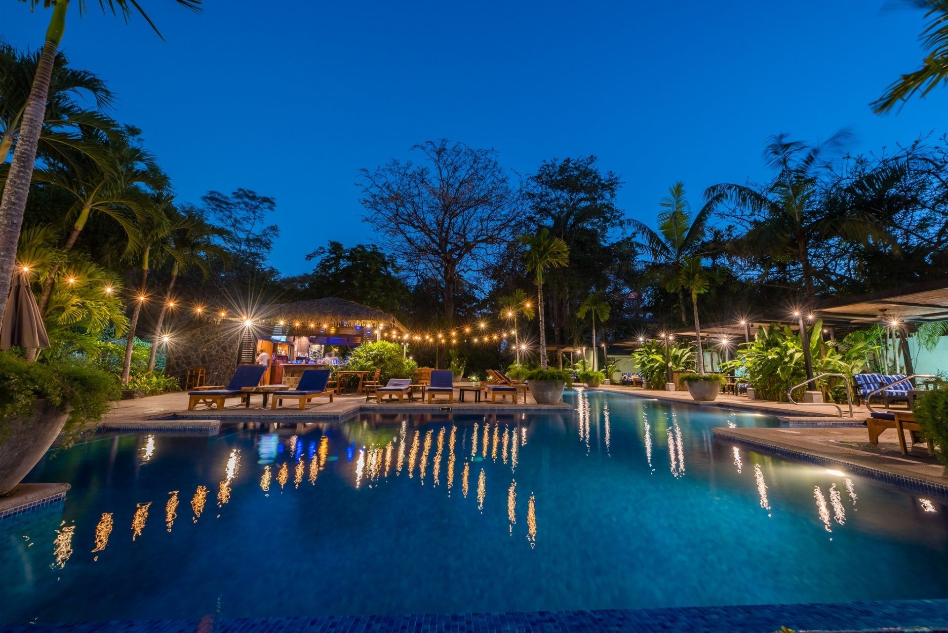 Lit poolside resort at dusk with string lights, palm trees, and reflections in the water