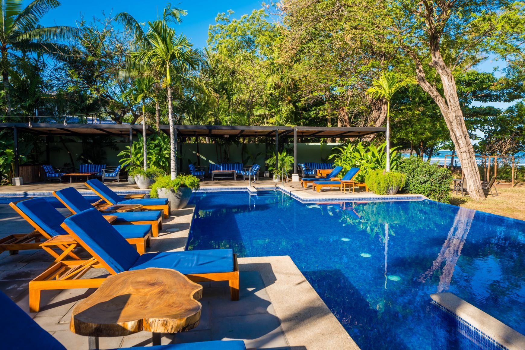 Resort pool with blue lounge chairs, palm trees, and a waterfall under a sunny sky