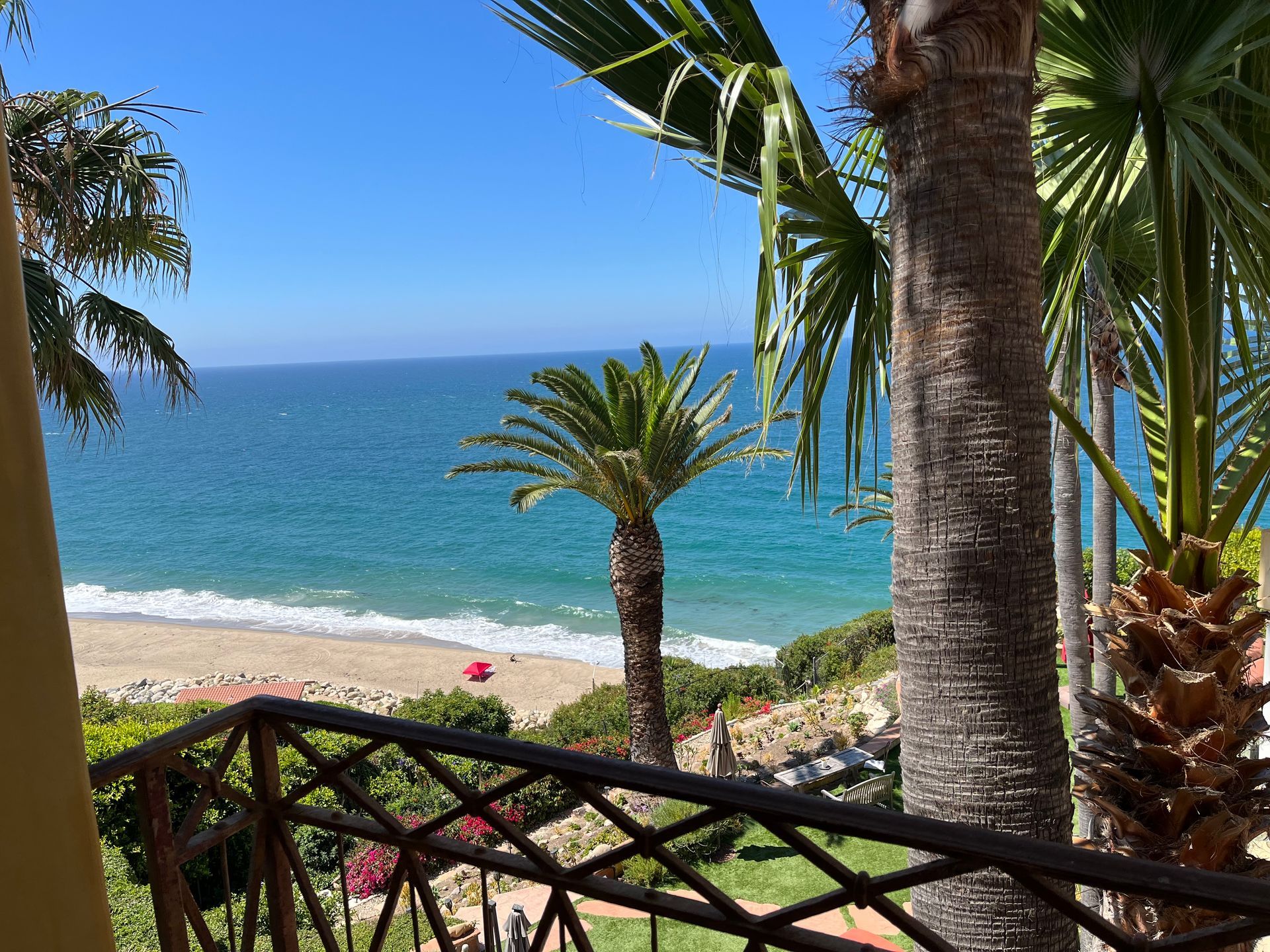 Ocean view from a balcony with palm trees, blue sky, and a sandy beach below.