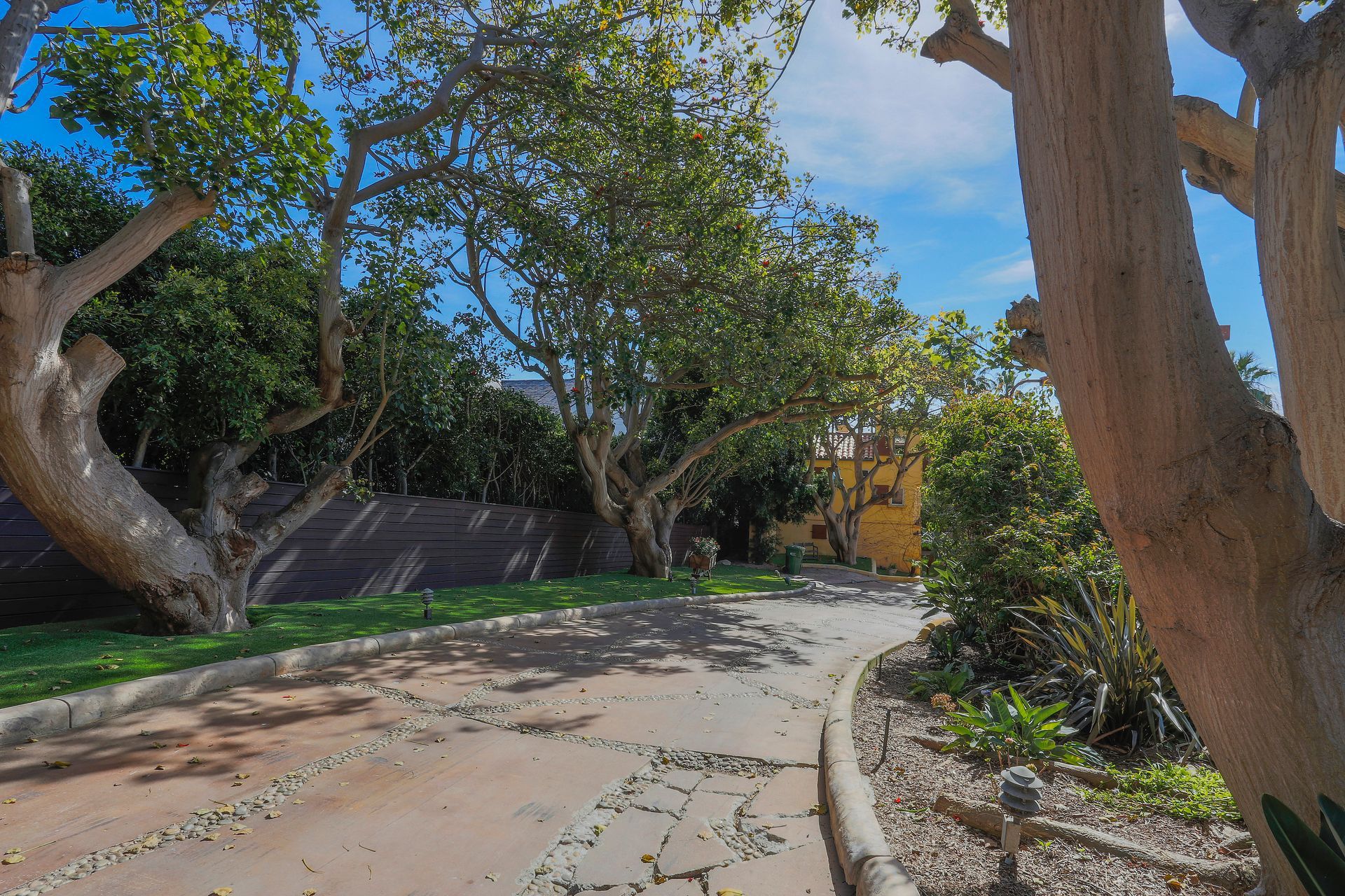 Tree-lined stone path curving through a sunny garden with blue sky overhead