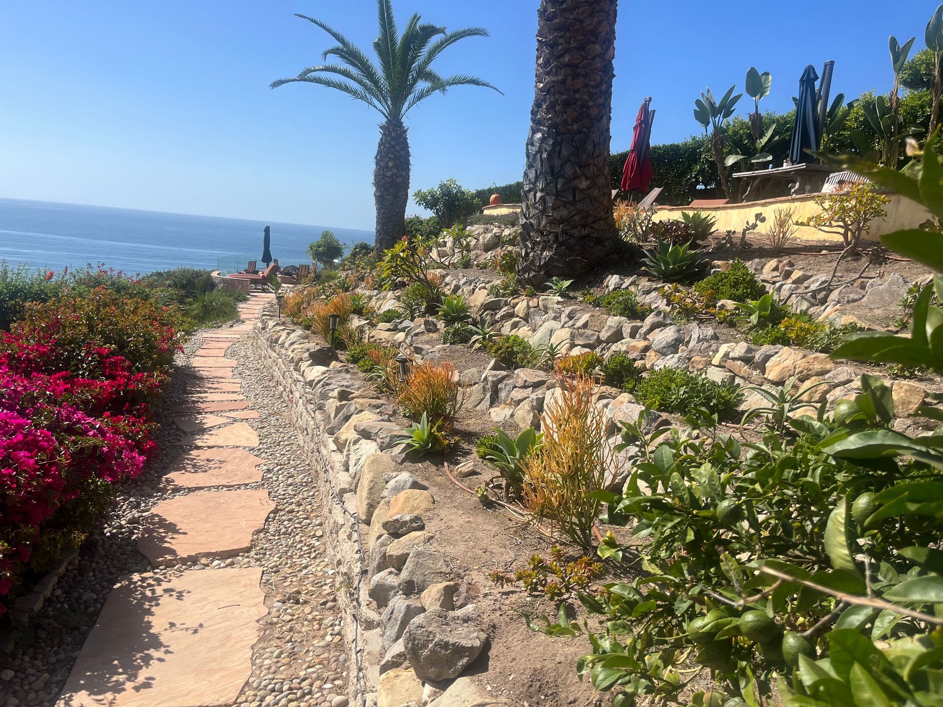 Rocky seaside garden path with palm trees, pink flowers, and ocean view