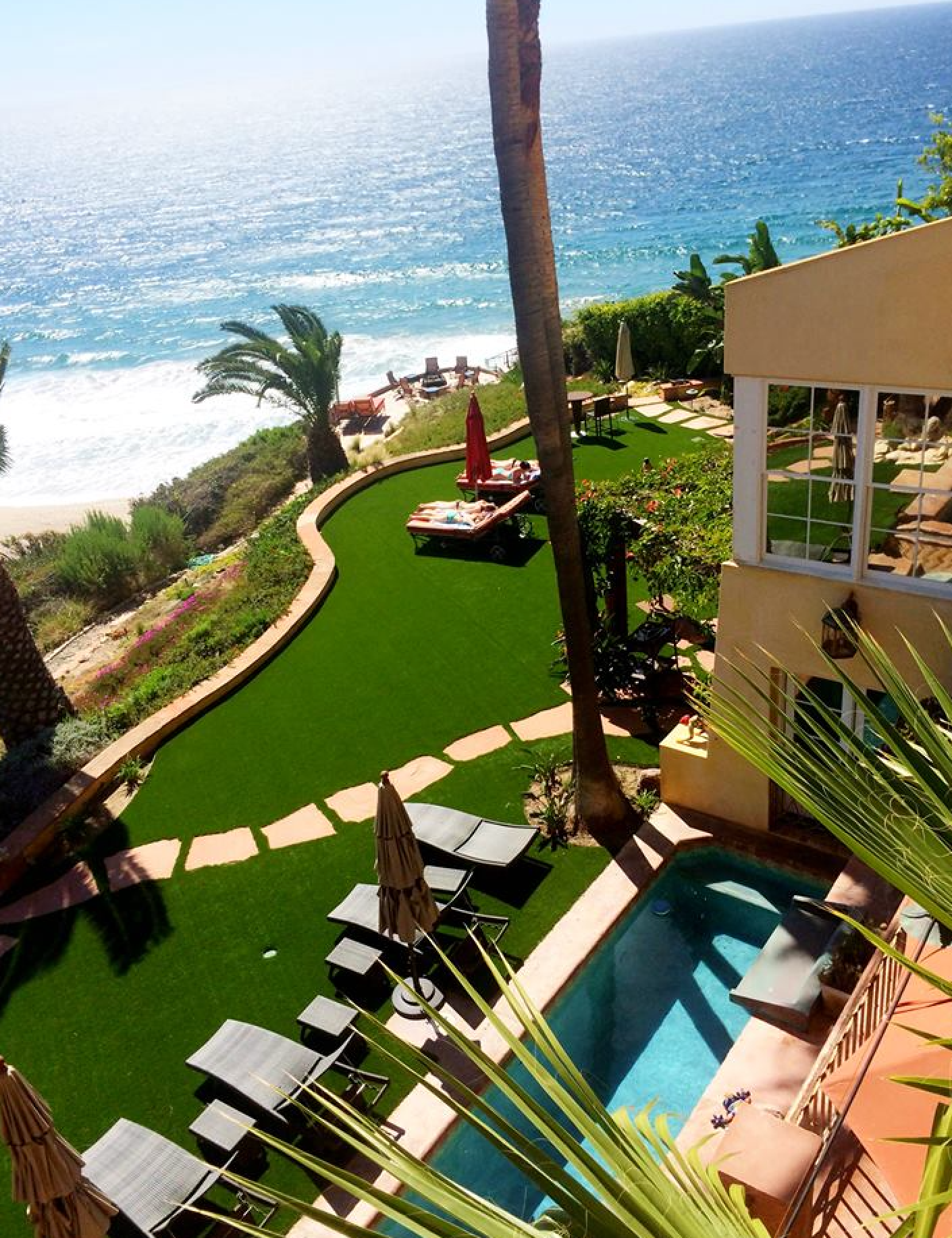 Oceanfront resort patio with green lawn, lounge chairs, palm trees, and a pool overlooking the beach.