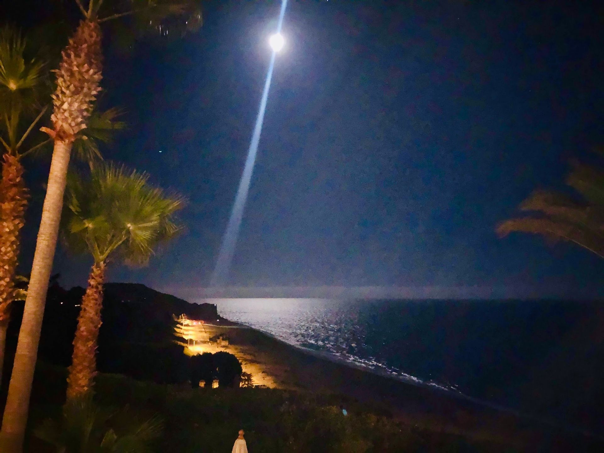 Moonlit beach with palm trees and a bright moon over the ocean at night