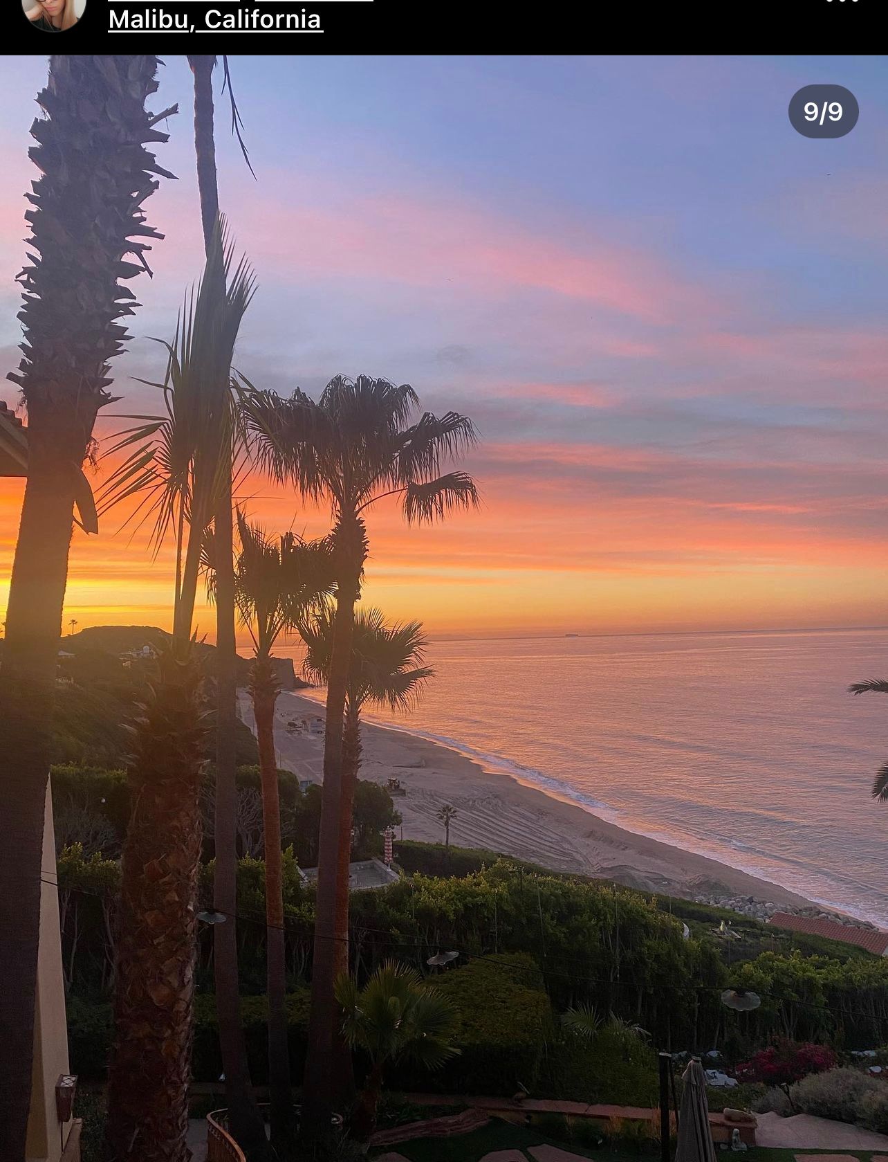 Sunset over Malibu coastline with palm trees and a pink-orange sky