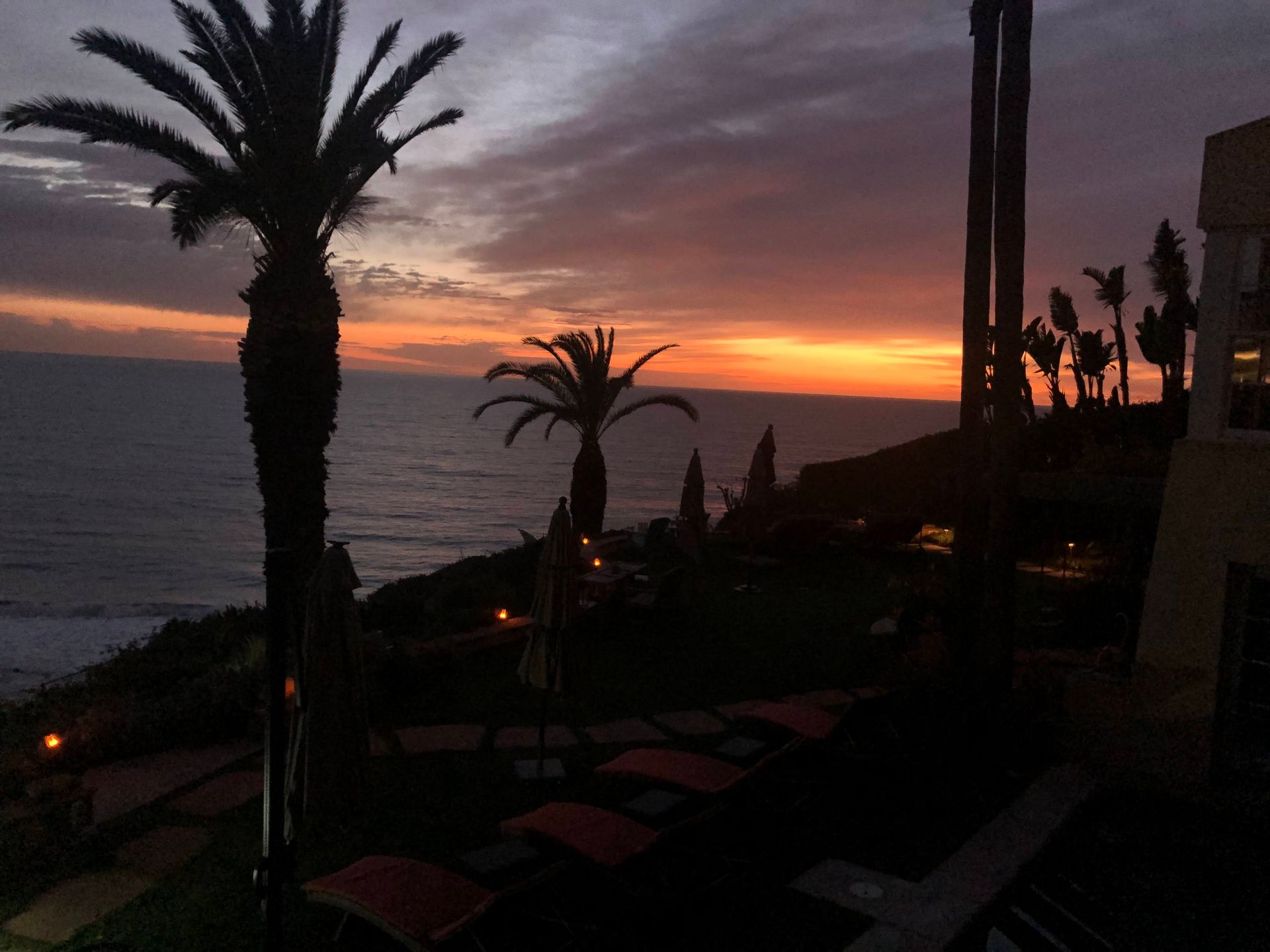 Sunset over ocean with palm trees and lounge chairs, silhouettes against a dark beach resort.