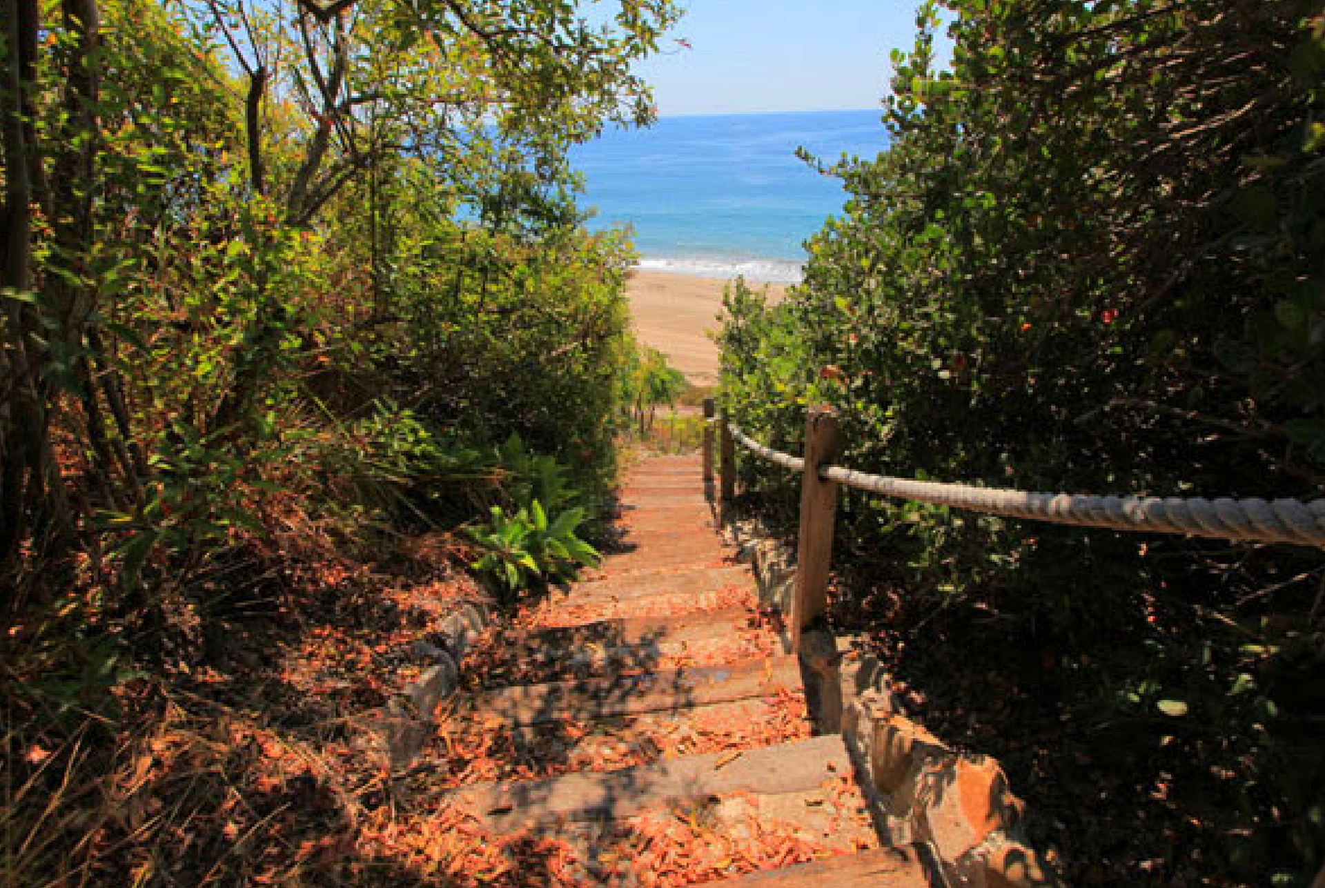 Stairway through green bushes leading down to a sunny beach and blue ocean