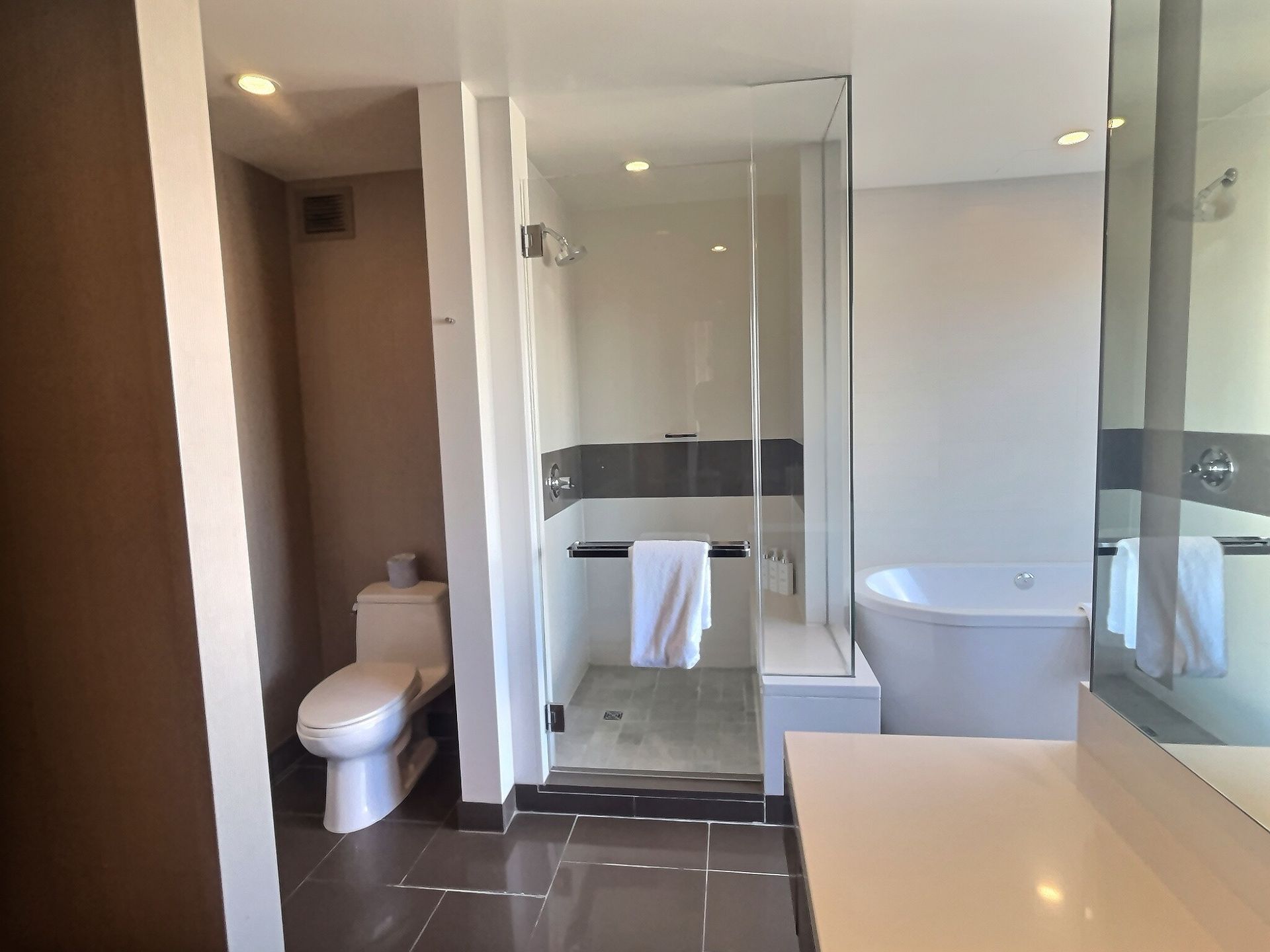 Modern bathroom with toilet, glass shower, bathtub, and vanity in a bright, neutral interior