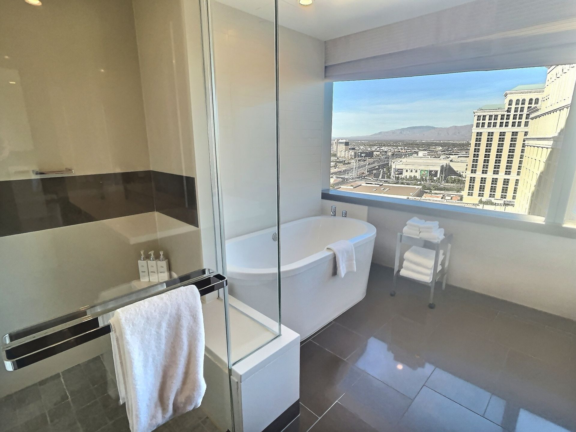 Modern bathroom with glass shower, white bathtub, and city view through large windows