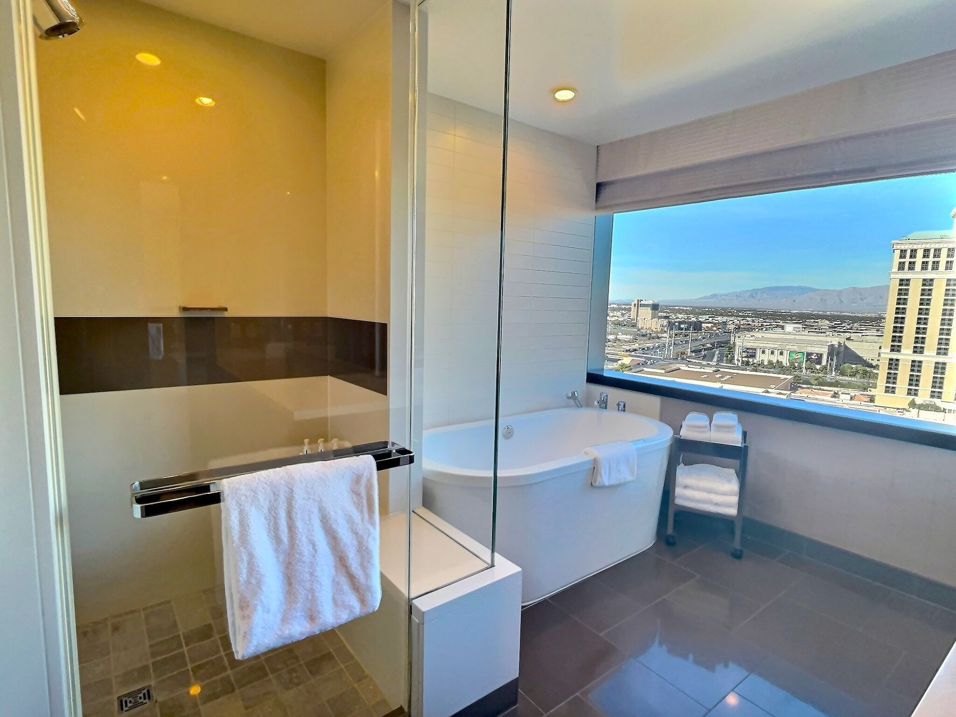Modern bathroom with glass shower, bathtub by a large window, and city view