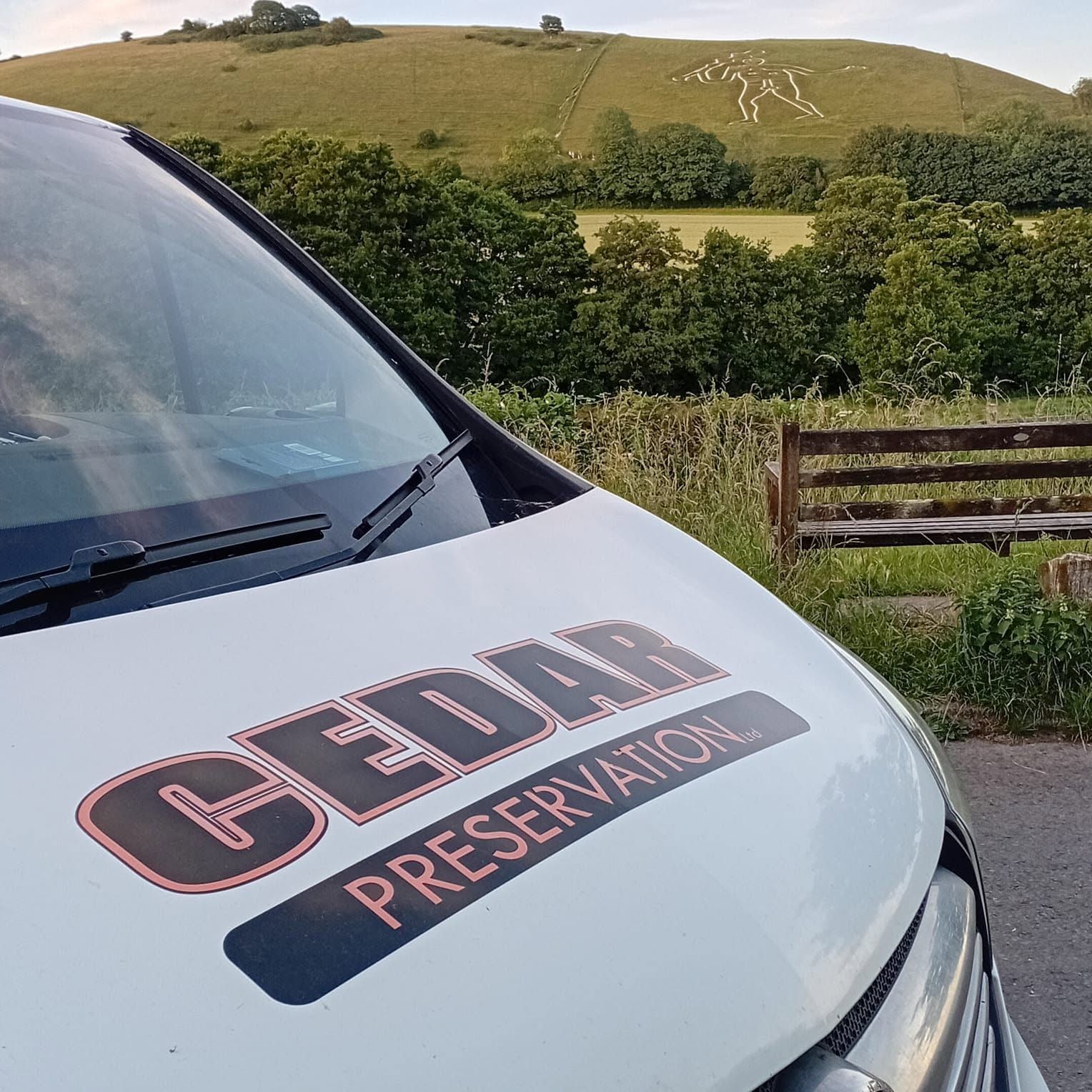 Damp Woodworm Dorset Dorchester Weymouth Sherborne Bridport Blandford Yeovil Bere Regis