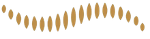 Row of gold oval leaves or petals on a white background, forming a gentle arc