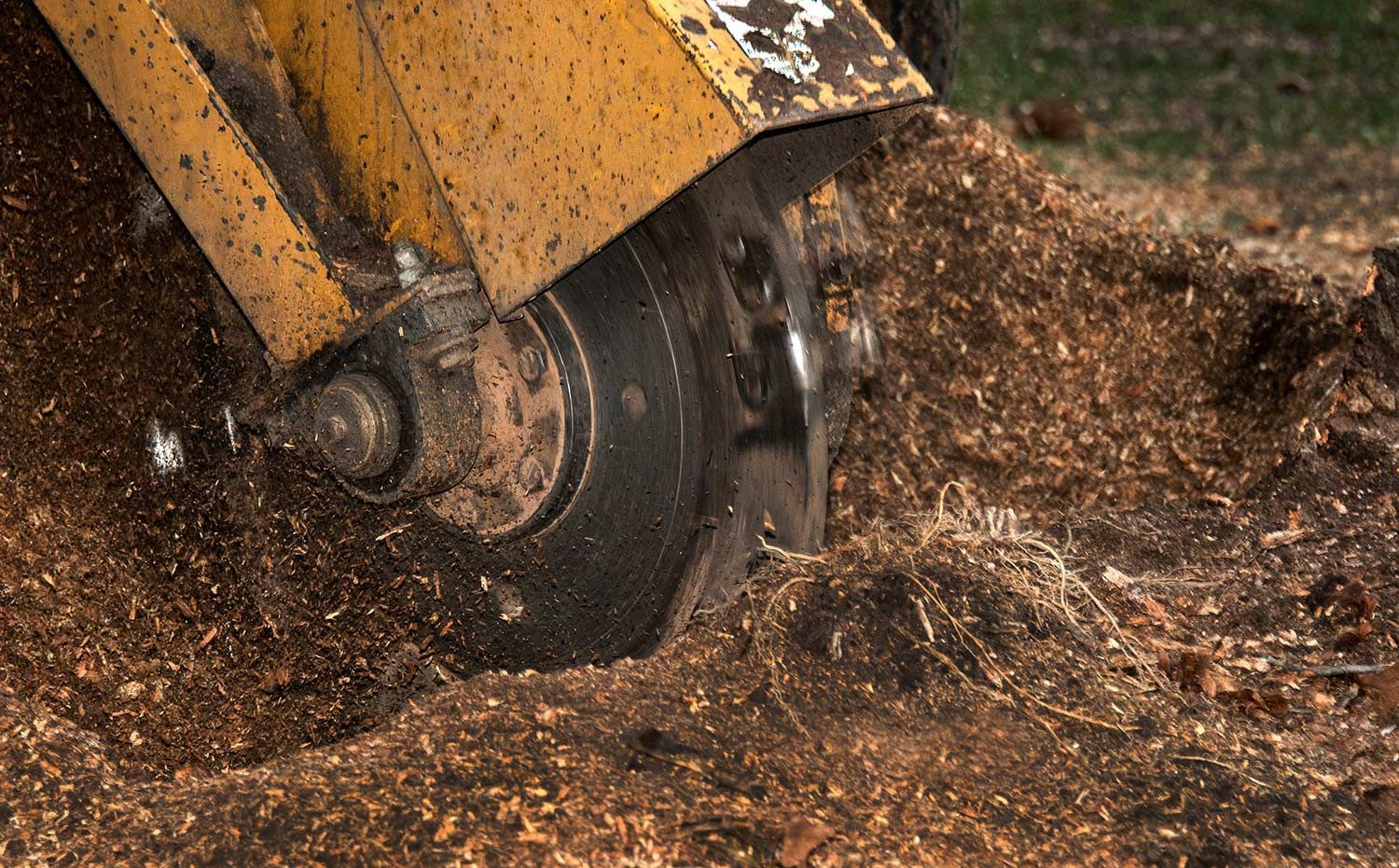 Stump grinding in backyard
