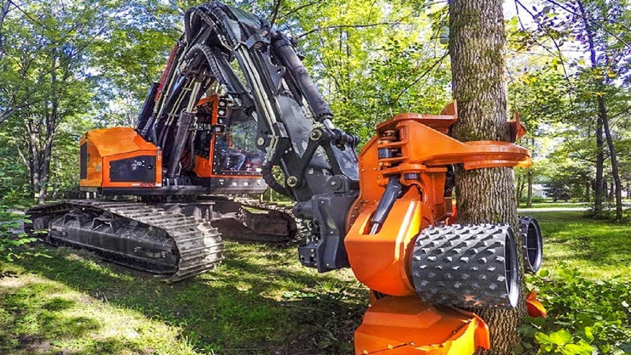 An orange forestry harvester machine grips a tree trunk with its mechanical processor head in a wooded area.