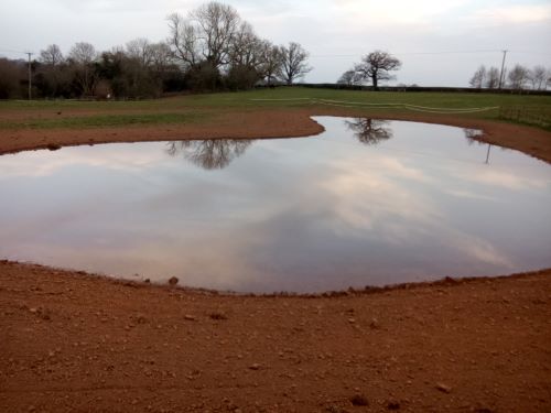 A small pond in the middle of a field with trees in the background.