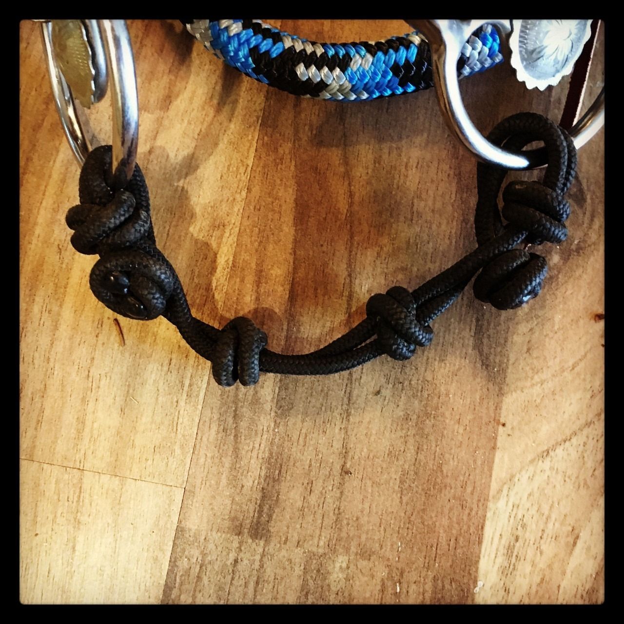 Mustang training halter with precise knot placement – Rowdy's Ropes