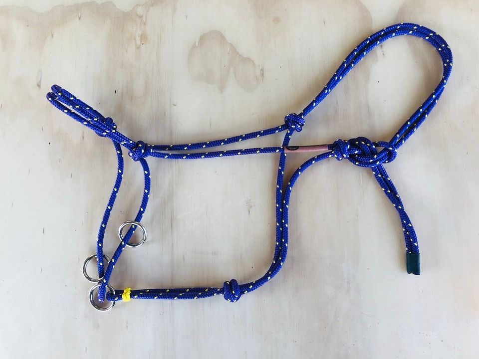Mustang training halter with precise knot placement – Rowdy's Ropes