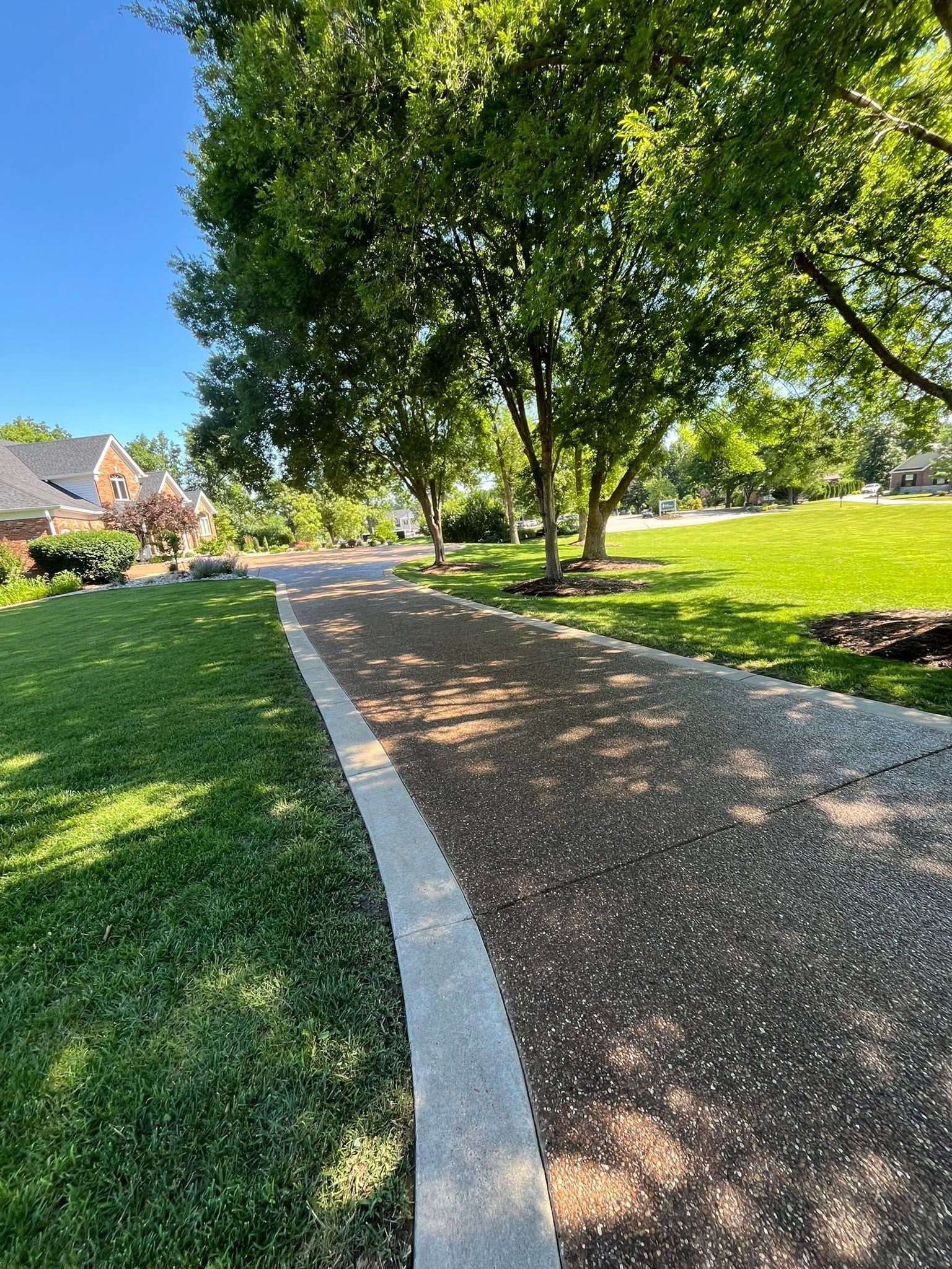 Tree-lined park path beside green lawn under a clear blue sky