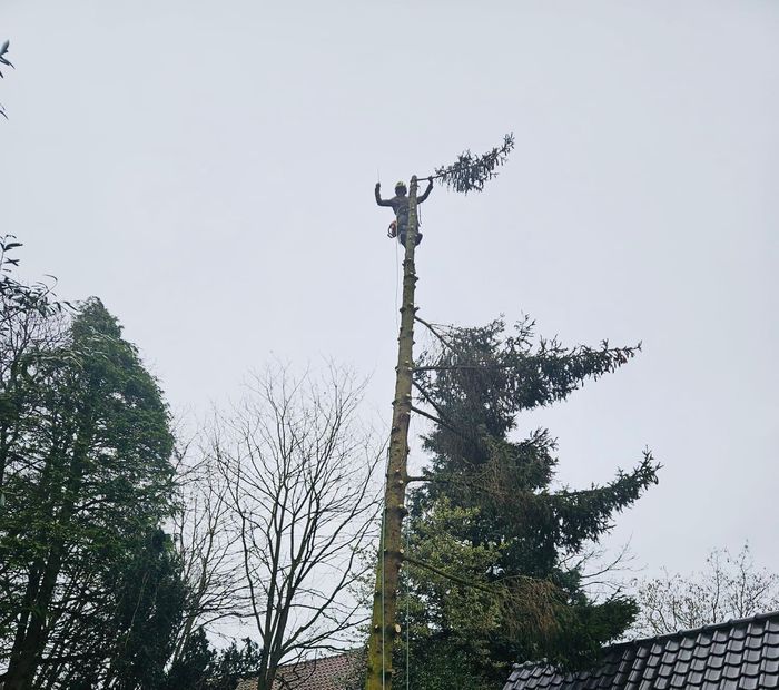 Boom snoeien Nijmegen  boom kappen in Nijmegen Boom snoeien Berg en Dal Boom kappen Berg en dal Boom snoeien Malden Boom kappen Malden Boom snoeien Heilig Landstichting Boom kappen Heilig landstichting Boom snoeien Mook Boom kappen Mook Boom snoeien Cuijk Boom kappen Cuijk Boom snoeien Wijchen Boom kappen Wijchen Boom snoeien Lent Boom kappen Lent Boom snoeien Ede Boom kappen ede Boom snoeien Winssen Boom kappen Winssen Boom snoeien Kessel Boom kappen Kessel Boom snoeien Groesbeek Boom kappen Groesbeek 
Boom snoeien Oosterhout Boom kappen Oosterhout Boom snoeien Beuningen Boom kappen Beuningen Boom snoeien Beneden-Leeuwen Boom kappen Beneden-Leeuwen Boom snoeien Ravenstein Boom kappen Ravenstein Boom snoeien Grave Boom kappen Grave
Boom snoeien Arnhem Boom kappen Arnhem Boom snoeien  Rhede Boom kappen Rhede Boom snoeien Zevenaar Boom kappen Zevenaar 
Boom snoeien Druten  Boom kappen Druten Boom snoeien Tiel Boom kappen Tiel Boom snoeien Doetinchem Boom kappen Doetinchem 
Boom snoeien Elst Boom kappen Elst Boom snoeien Heumen Boom kappen Heumen Boom snoeien  Ooy Ooij Boom kappen Ooy Ooij Boom snoeien Hernen Boom kappen Hernen Boom snoeien Wamel Boom kappen Wamel 
Boom snoeien Ressen Boom kappen Ressen Boom snoeien Doornenburg Boom kappen Doornenburg Boom snoeien Lent Boom kappen Lent
Boom snoeien Millingen aan de Rijn Boom kappen Millingen aan de Rijn Boom snoeien Plasmolen Boom kappen Plasmolen 
Boom snoeien Middelaar  Boom kappen Middelaar Boom snoeien Milsbeek Boom kappen Milsbeek  Boom snoeien Molenhoek Boom kappen Molenhoek Boom snoeien Gennep Boom kappen Gennep 
